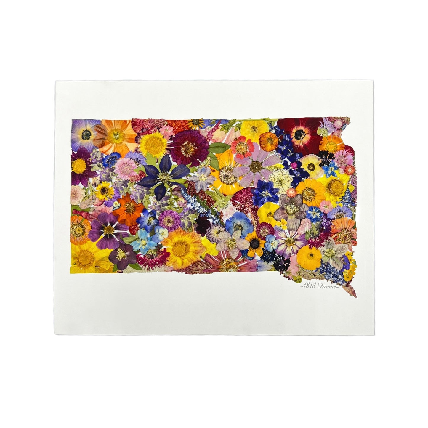 South Dakota Themed Giclée Print - "Where I Bloom" Collection Giclee Art Print 1818 Farms