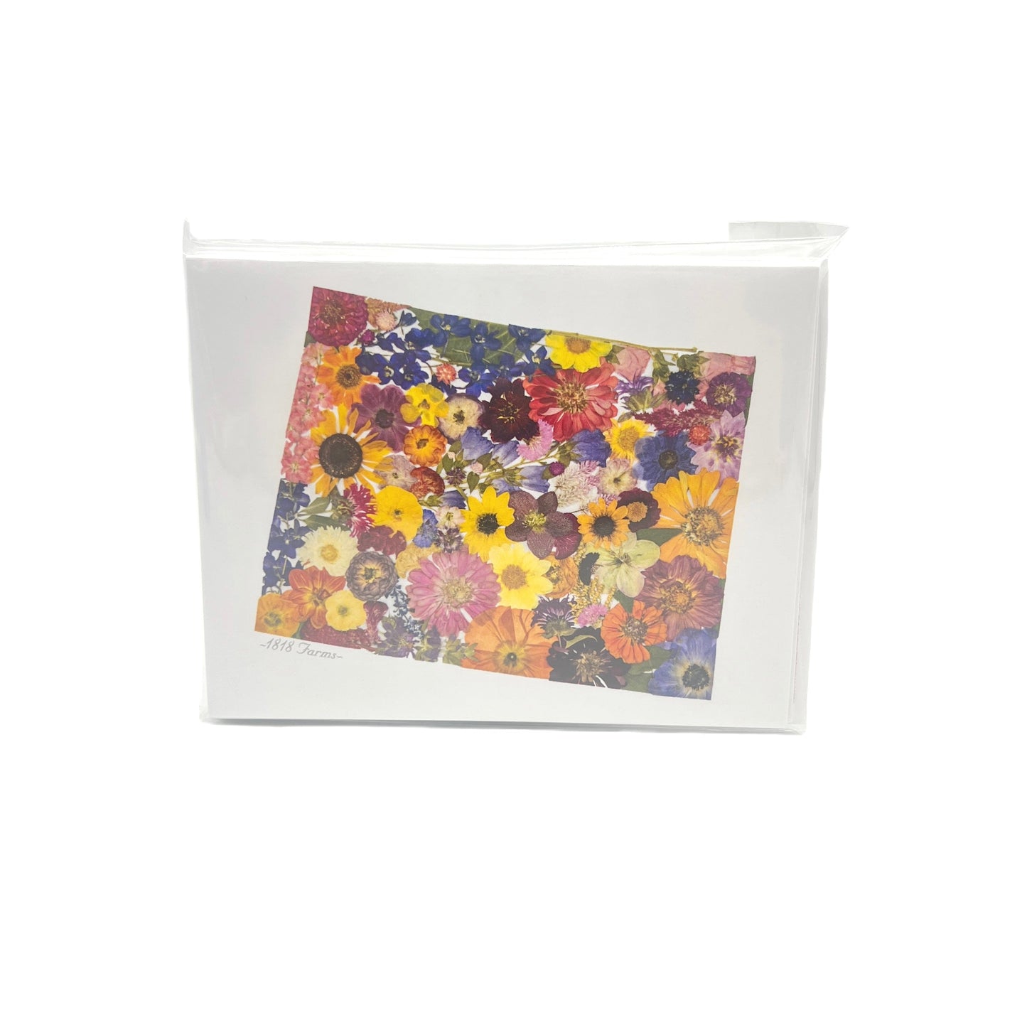 Wyoming Themed Notecards (Set of 6) - "Where I Bloom" Collection Notecard 1818 Farms