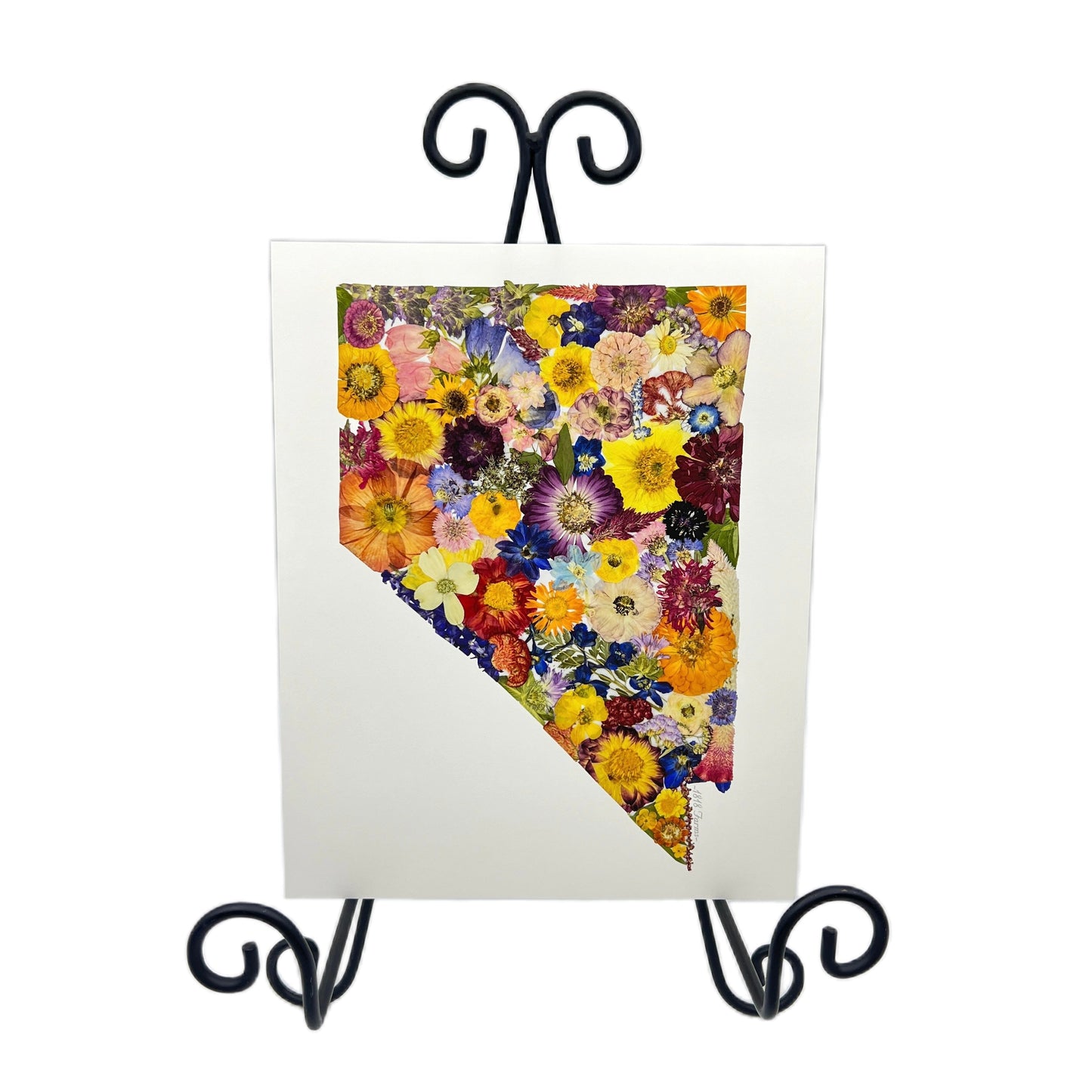 Nevada Themed Giclée Print - "Where I Bloom" Collection Giclee Art Print 1818 Farms