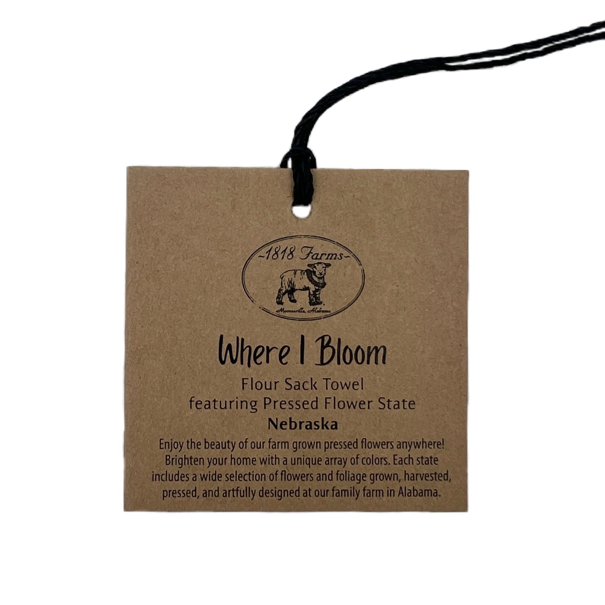 Nebraska Themed Flour Sack Towel  - "Where I Bloom" Collection Towel 1818 Farms