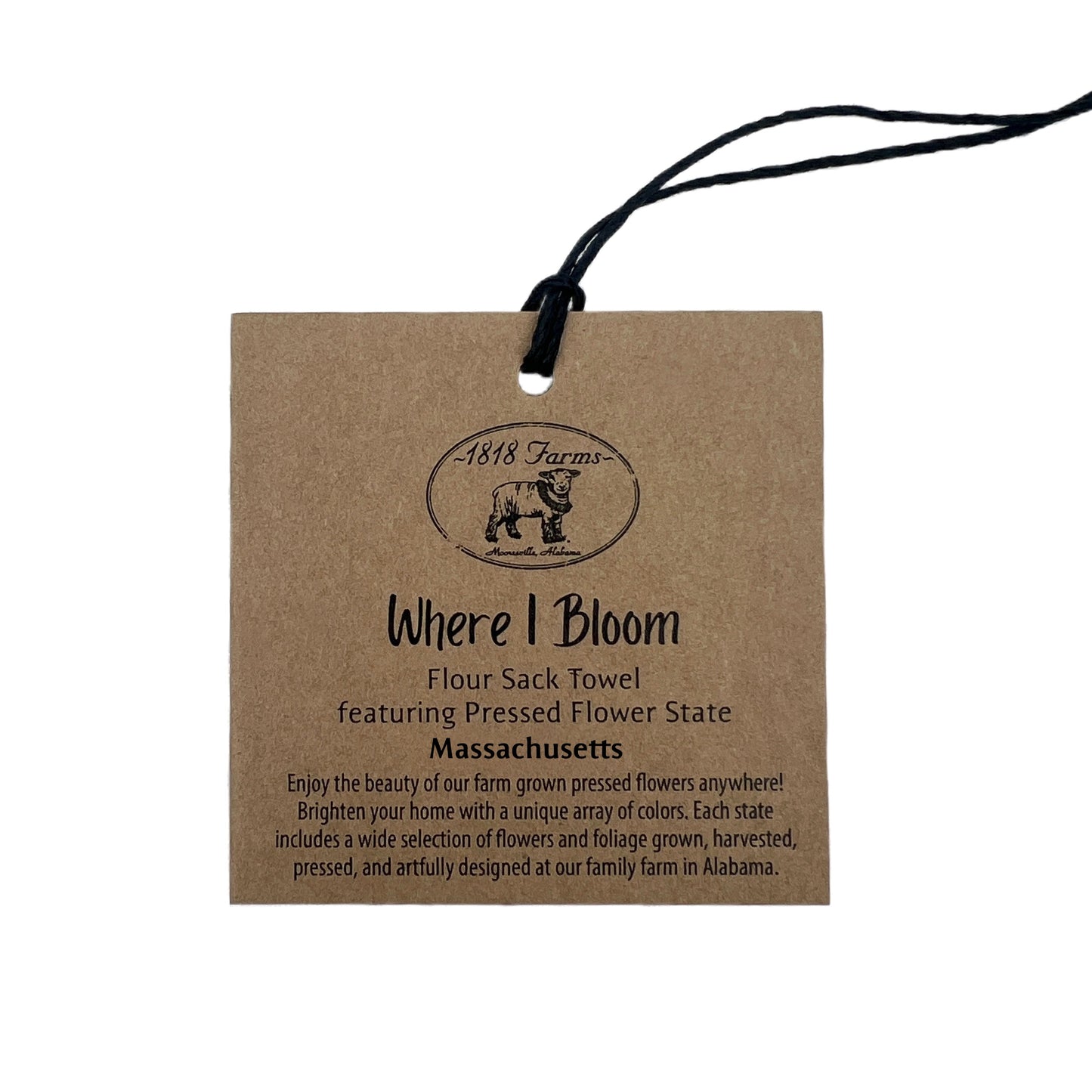 Massachusetts Themed Flour Sack Towel - "Where I Bloom" Collection Towel 1818 Farms