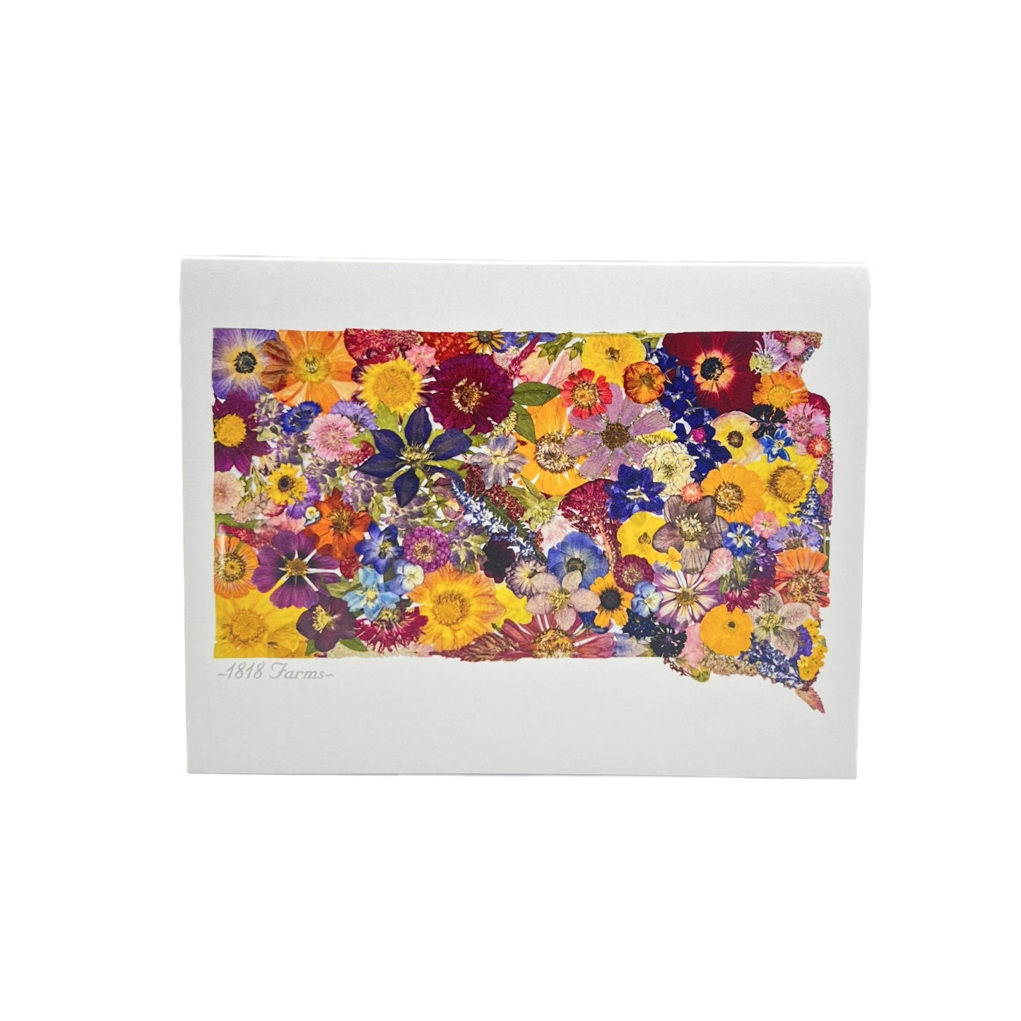 South Dakota Themed Notecards (Set of 6) - "Where I Bloom" Collection Notecard 1818 Farms