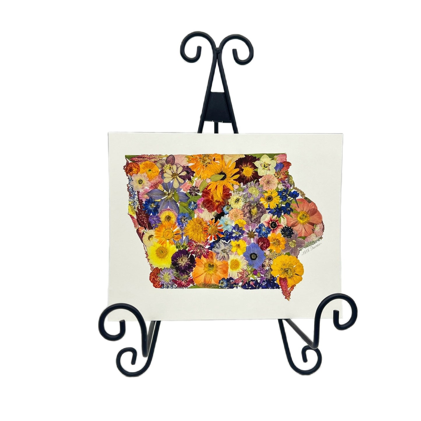 Iowa Themed Giclée Print - "Where I Bloom" Collection Giclee Art Print 1818 Farms