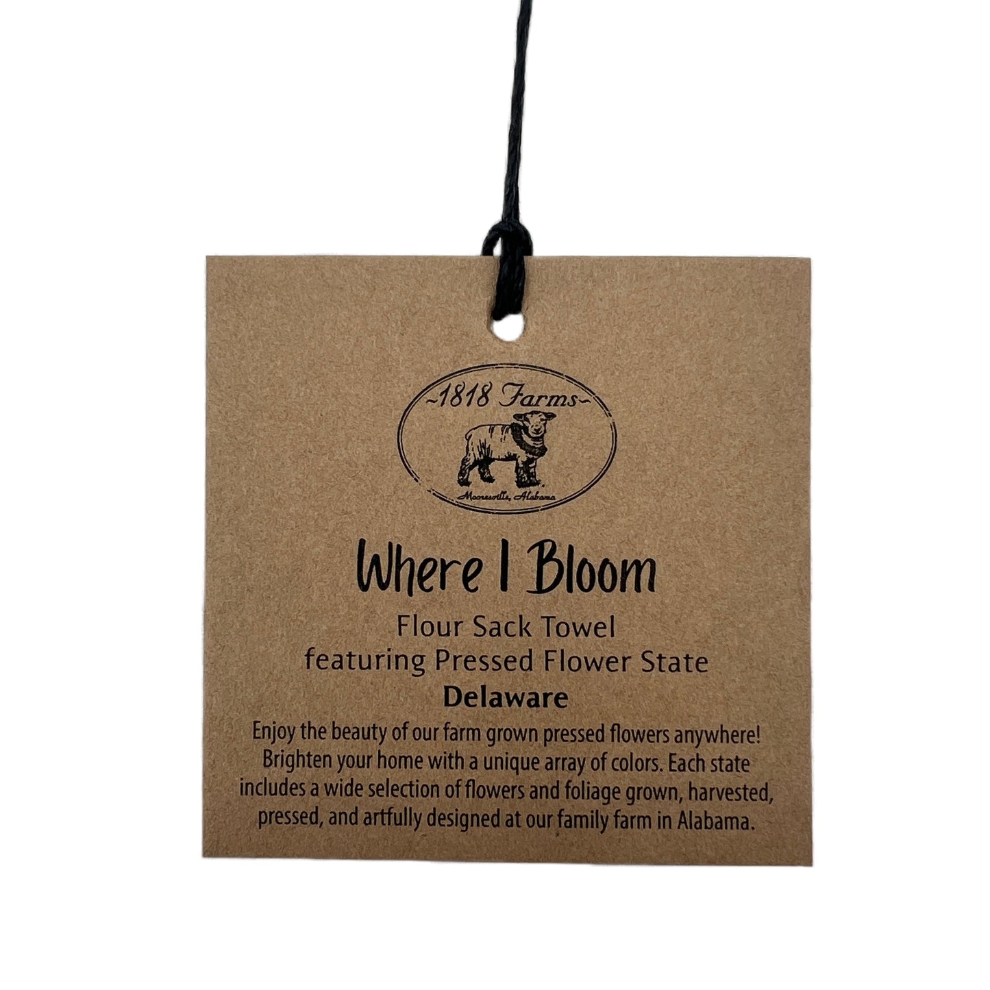 Delaware Themed Flour Sack Towel - "Where I Bloom" Collection Towel 1818 Farms