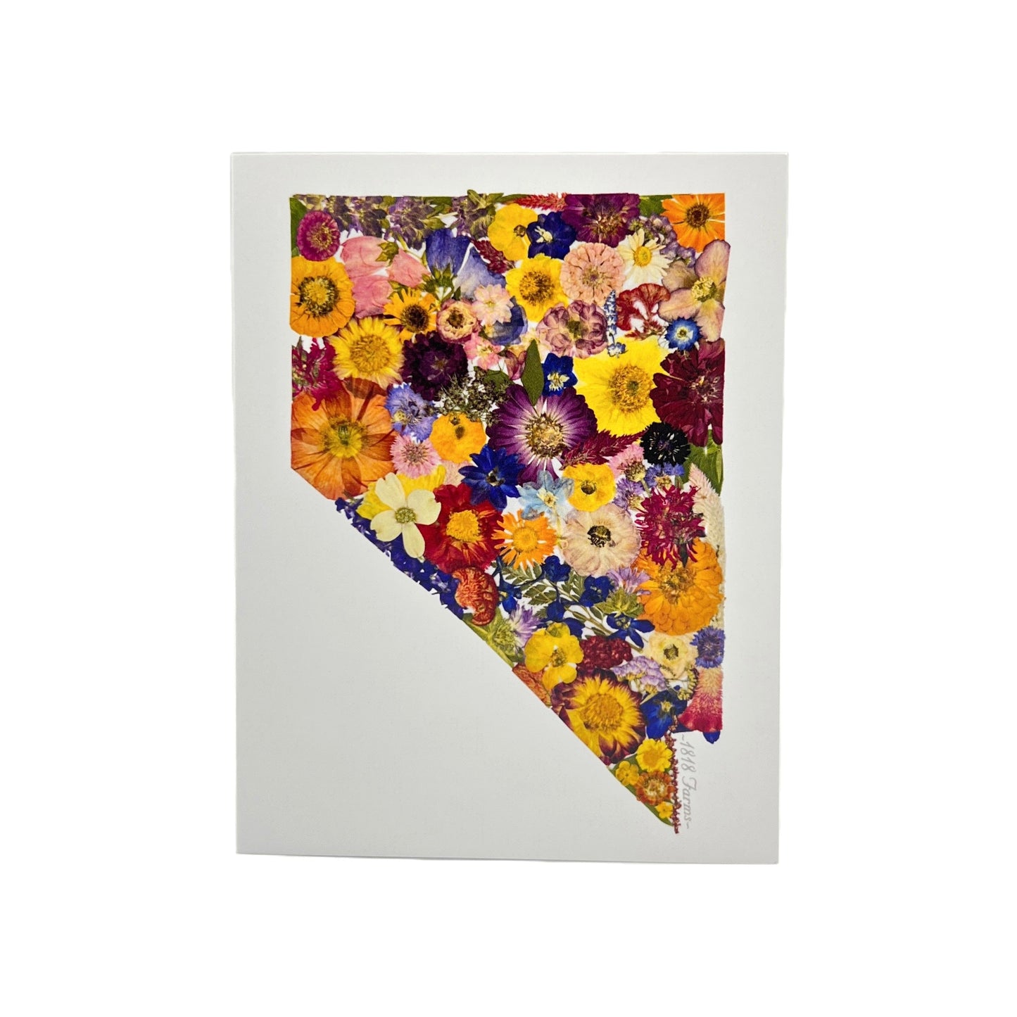 Nevada Themed Notecards (Set of 6) - "Where I Bloom" Collection Notecard 1818 Farms