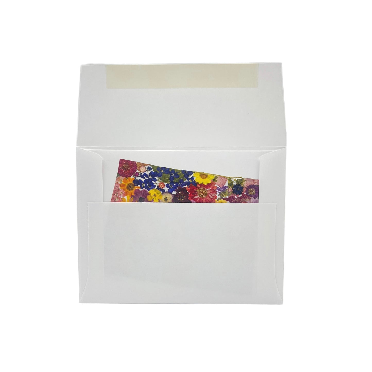 Wyoming Themed Notecards (Set of 6) - "Where I Bloom" Collection Notecard 1818 Farms