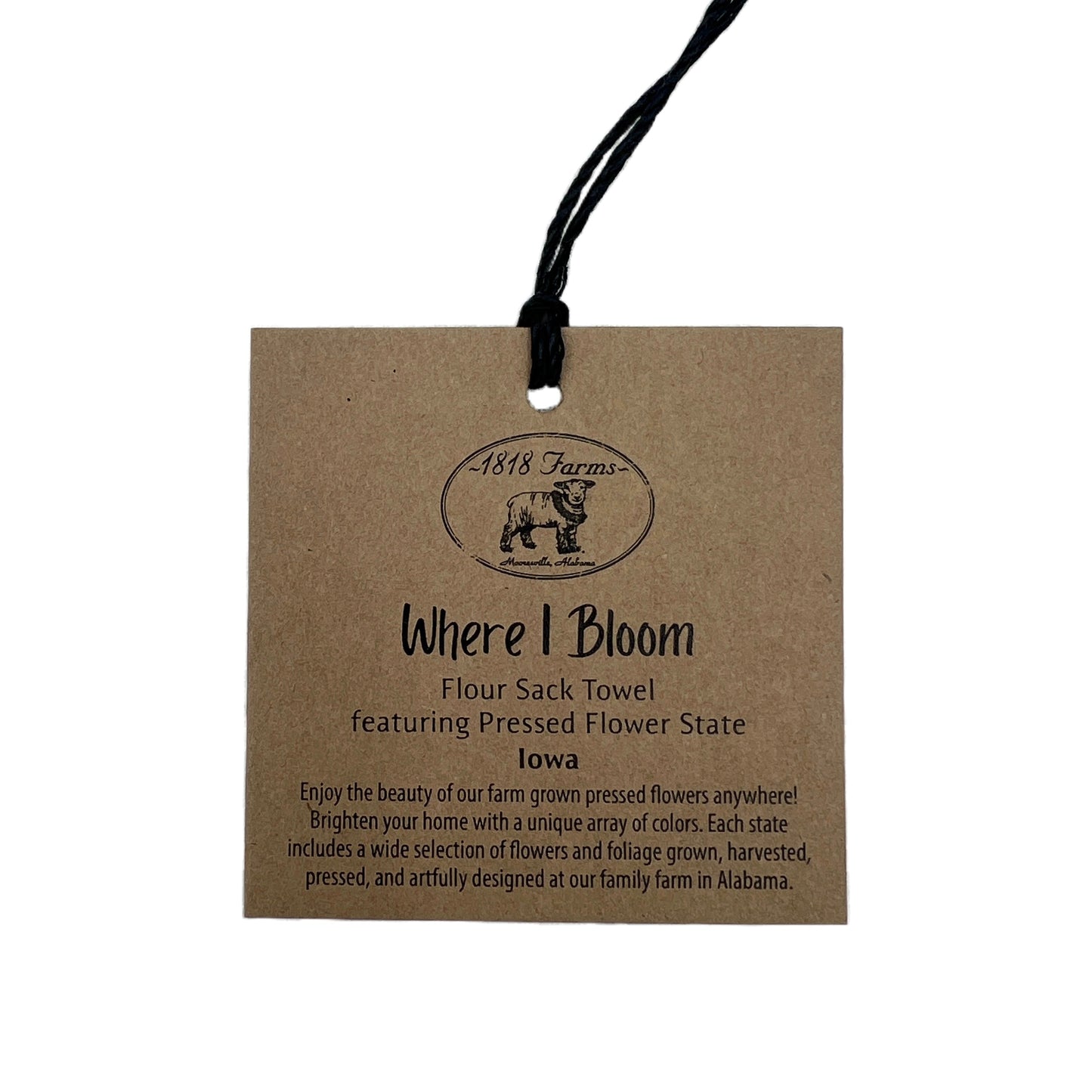 Iowa Themed Flour Sack Towel - "Where I Bloom" Collection Towel 1818 Farms
