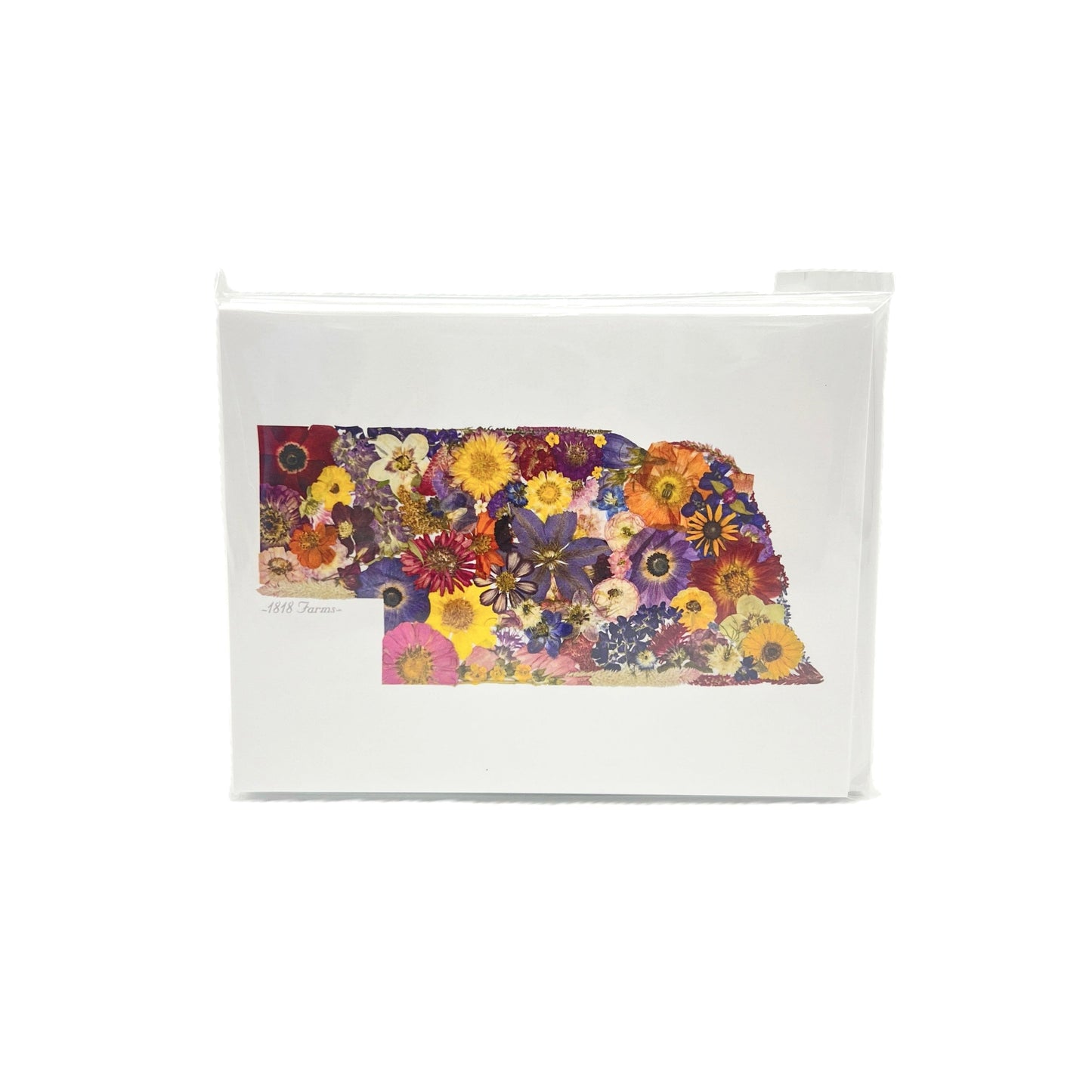 Nebraska Themed Notecards (Set of 6) - "Where I Bloom" Collection Notecard 1818 Farms