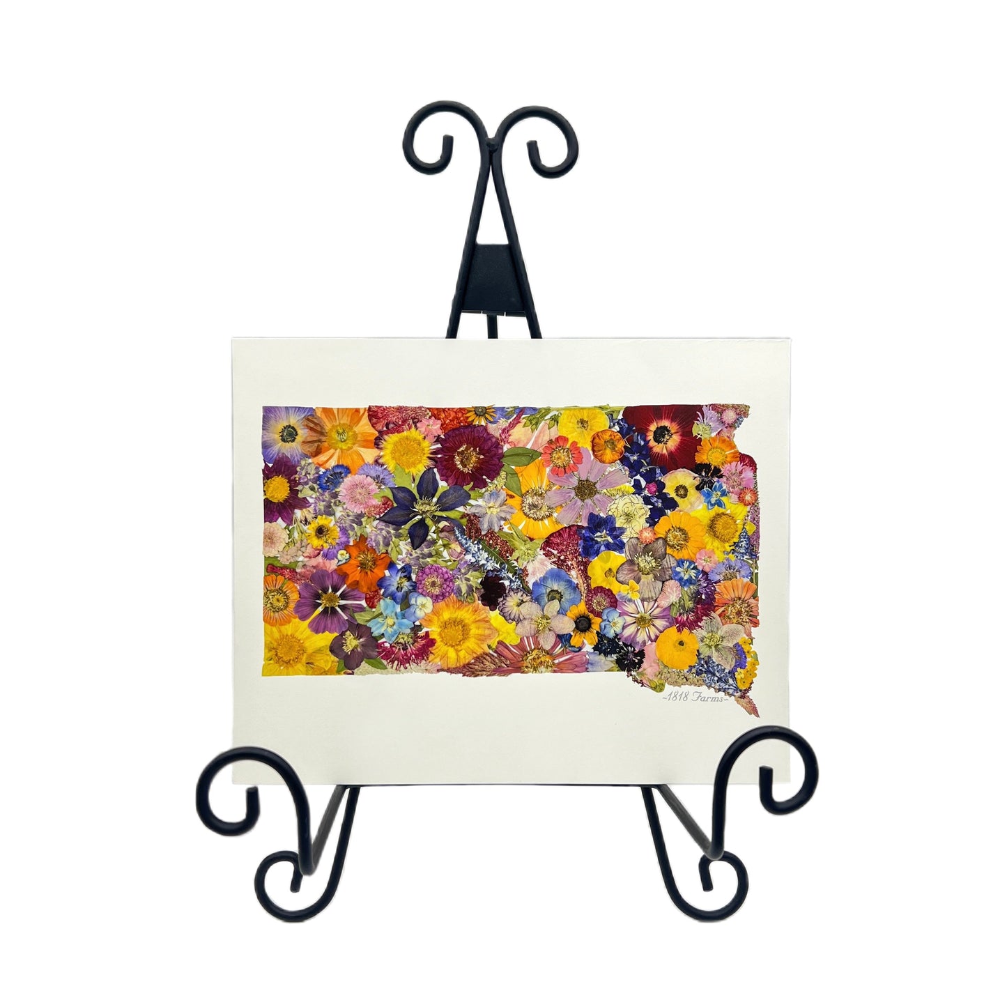 South Dakota Themed Giclée Print - "Where I Bloom" Collection Giclee Art Print 1818 Farms