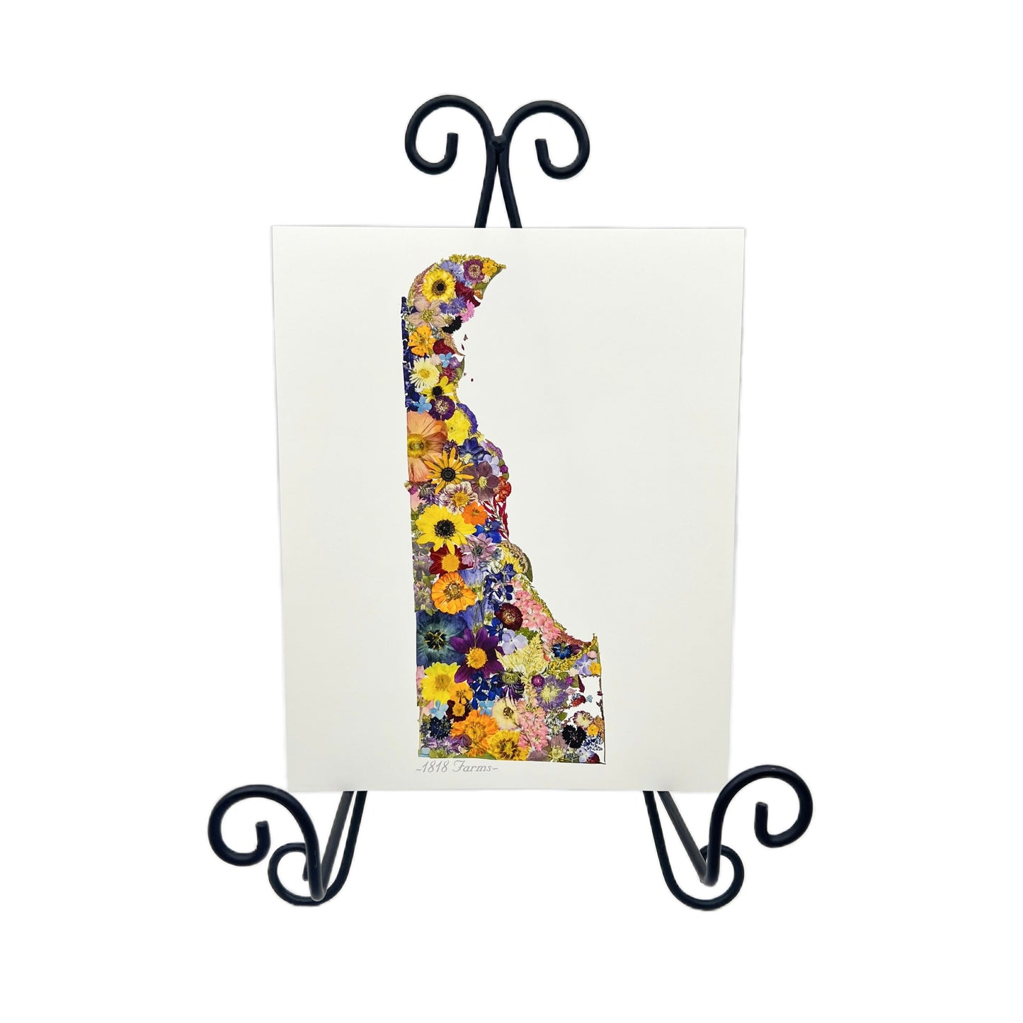 Delaware Themed Giclée Print - "Where I Bloom" Collection Giclee Art Print 1818 Farms