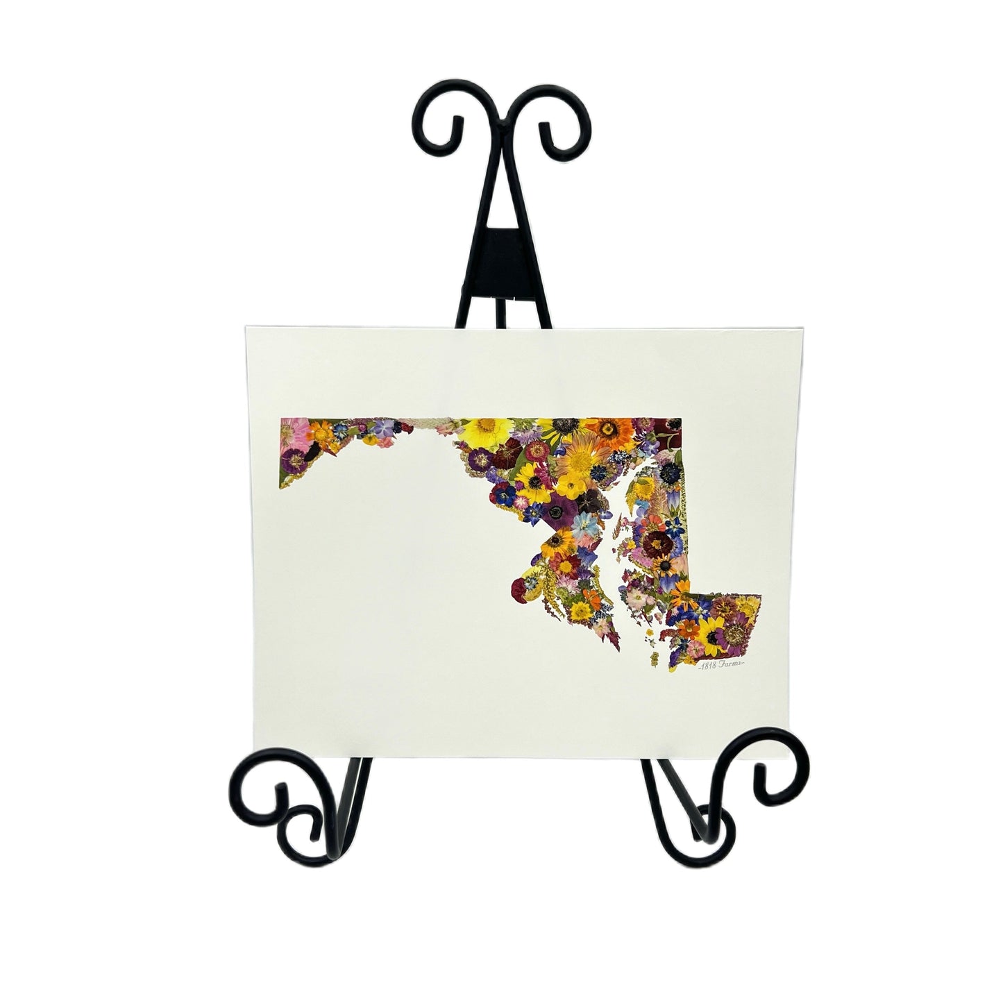 Maryland Themed Giclée Print - "Where I Bloom" Collection Giclee Art Print 1818 Farms