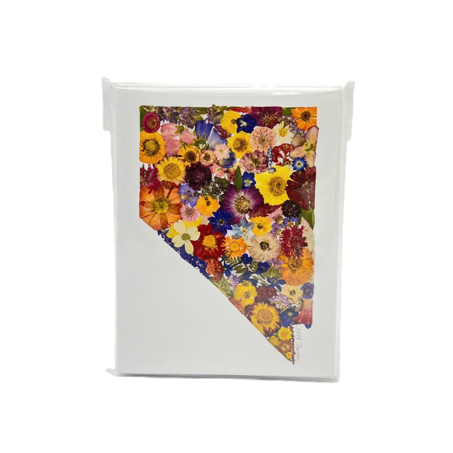 Nevada Themed Notecards (Set of 6) - "Where I Bloom" Collection Notecard 1818 Farms