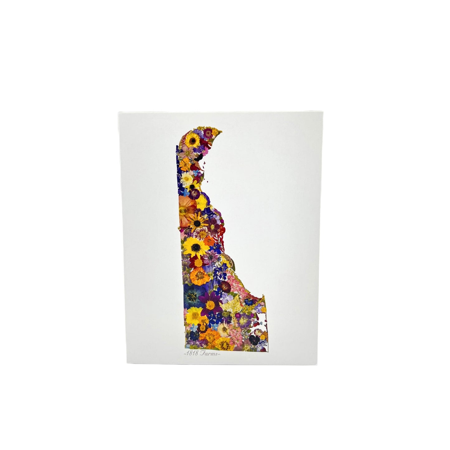 Delaware Themed Notecards (Set of 6) - "Where I Bloom" Collection Notecard 1818 Farms
