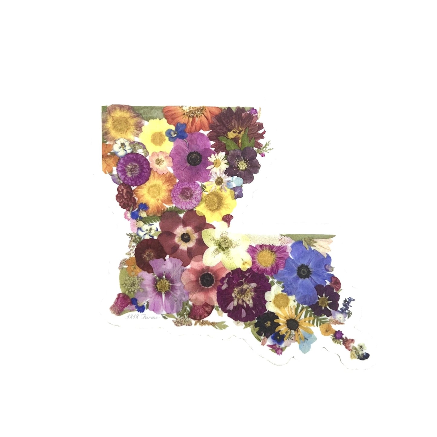 State Themed Vinyl Sticker - "Where I Bloom" Collection Vinyl Sticker 1818 Farms Louisiana