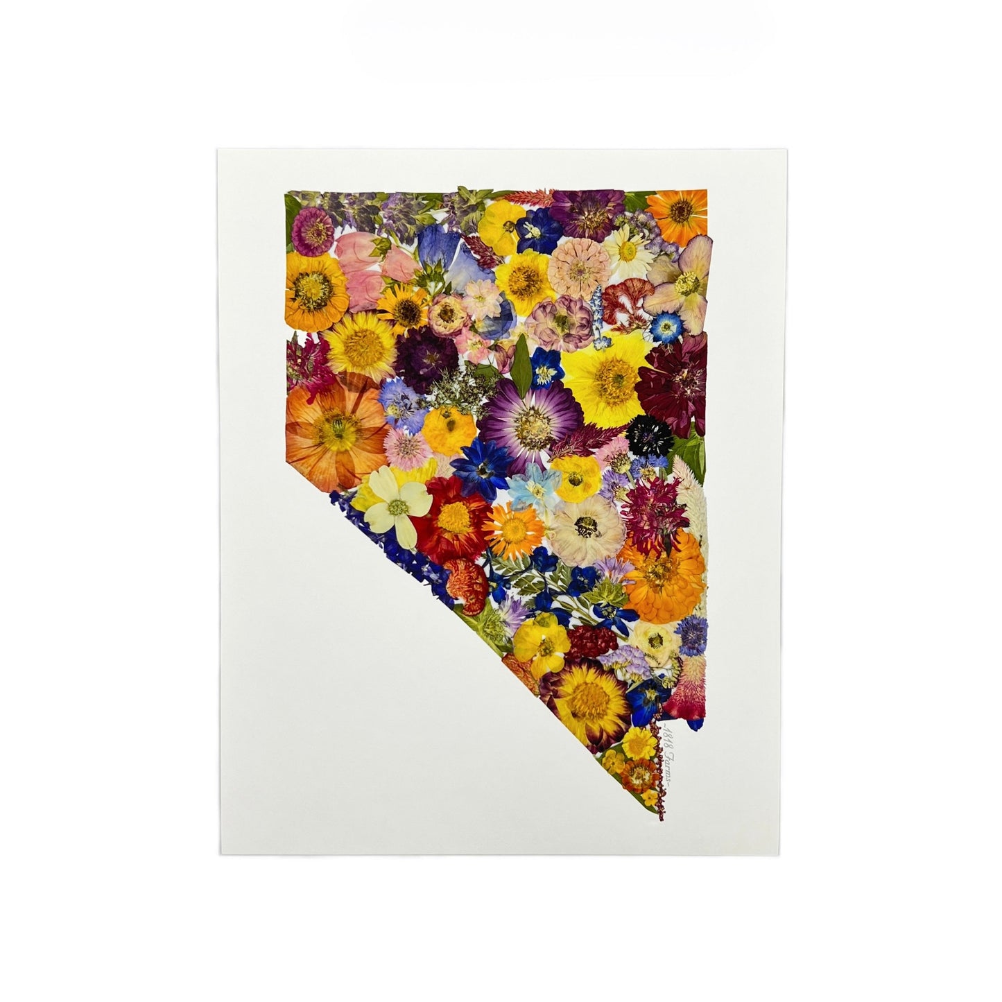 Nevada Themed Giclée Print - "Where I Bloom" Collection Giclee Art Print 1818 Farms