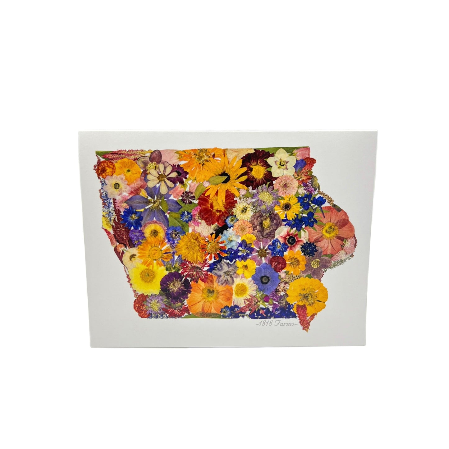 Iowa Themed Notecards (Set of 6) - "Where I Bloom" Collection Notecard 1818 Farms