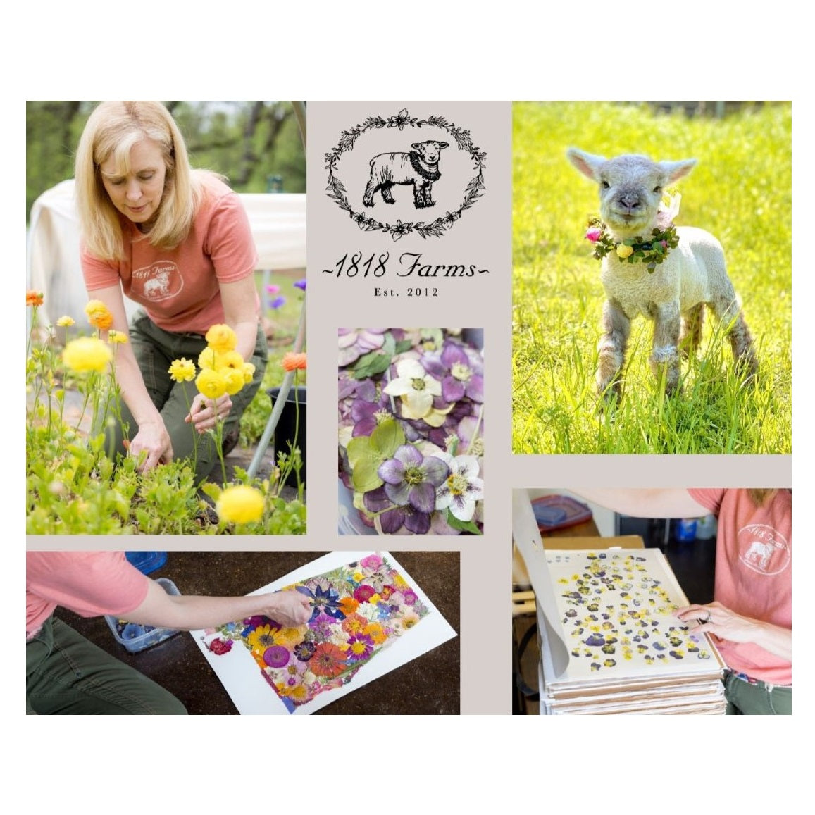 Utah Themed Giclée Print - "Where I Bloom" Collection Giclee Art Print 1818 Farms