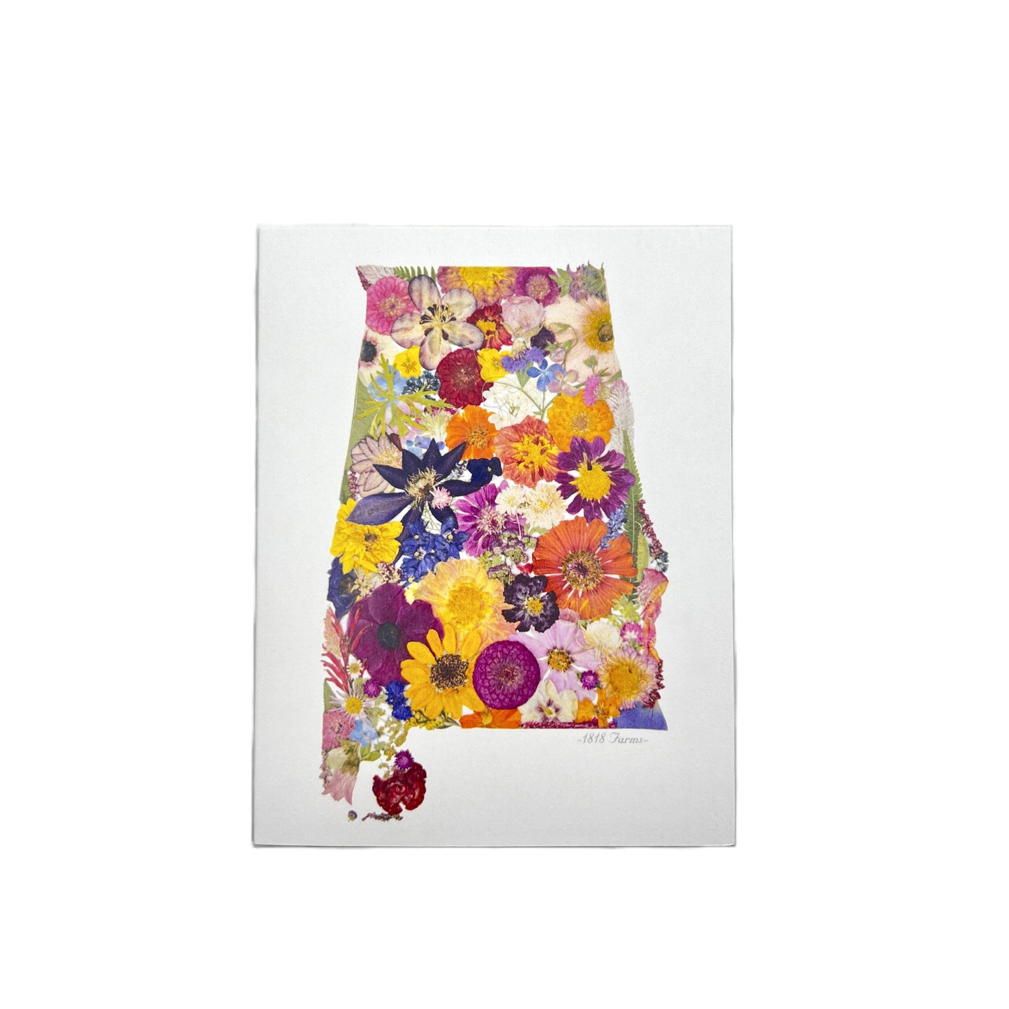State Themed Notecards (Set of 6) - "Where I Bloom" Collection Notecard 1818 Farms Alabama
