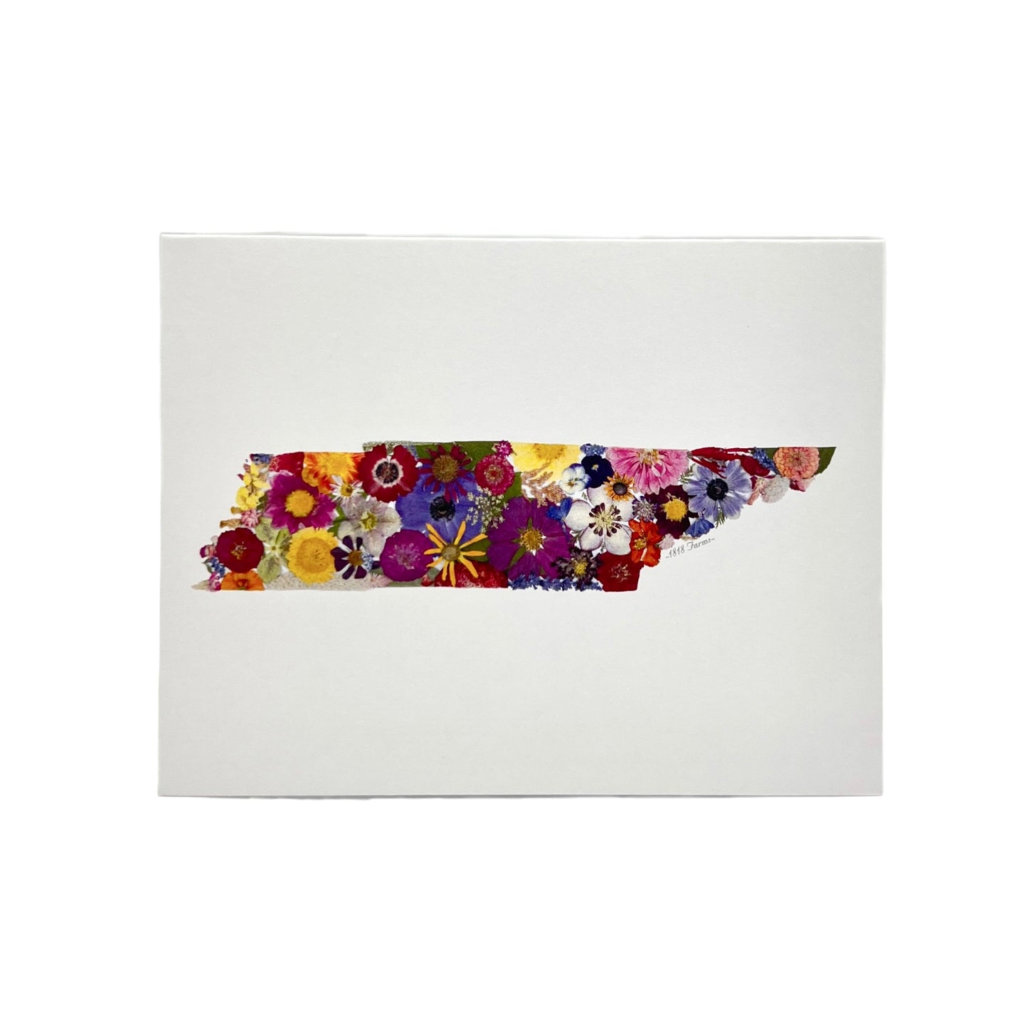State Themed Notecards (Set of 6) - "Where I Bloom" Collection Notecard 1818 Farms Tennessee