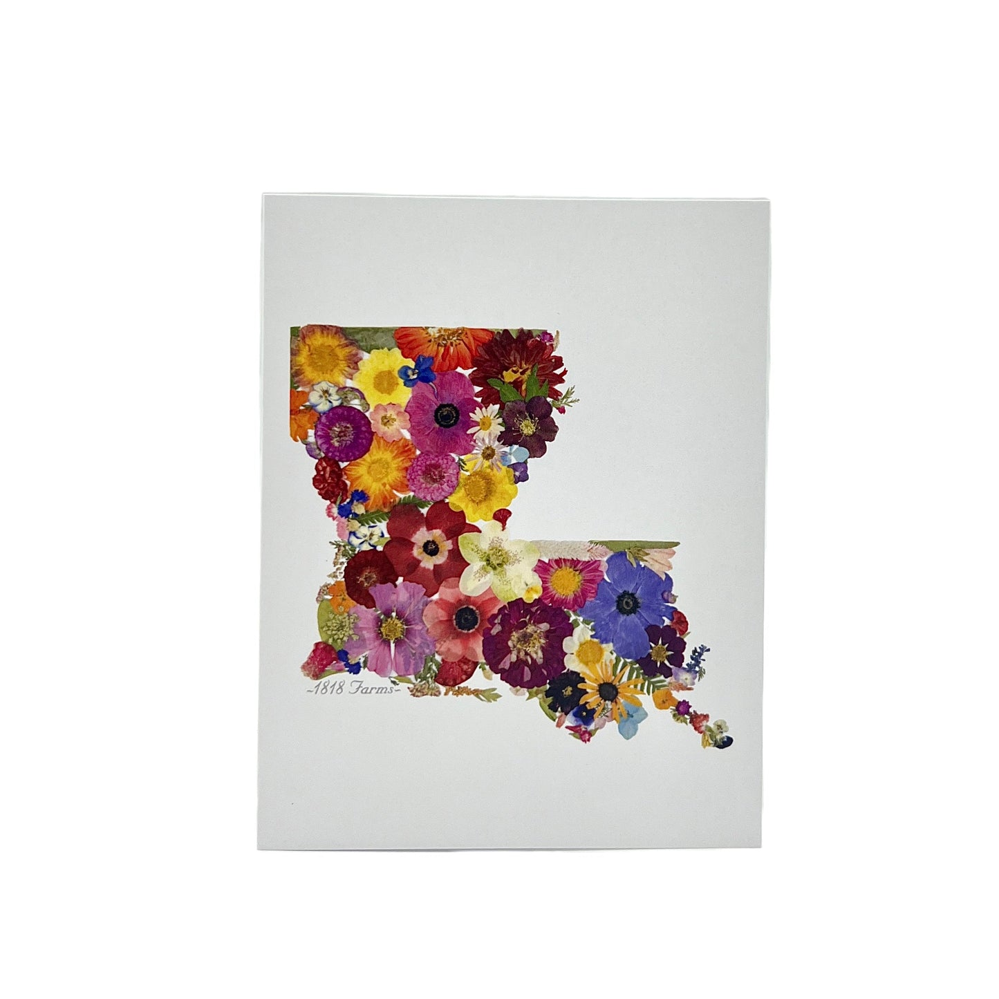 State Themed Notecards (Set of 6) - "Where I Bloom" Collection Notecard 1818 Farms Louisiana