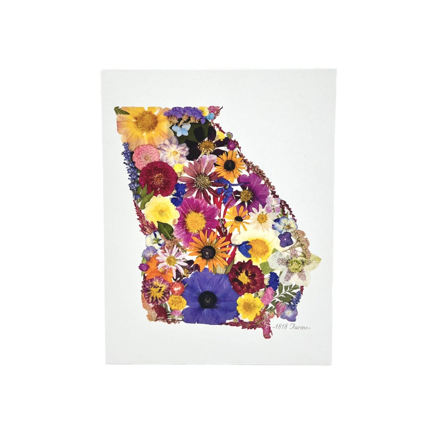 Georgia Themed Notecards (Set of 6) - "Where I Bloom" Collection Notecard 1818 Farms