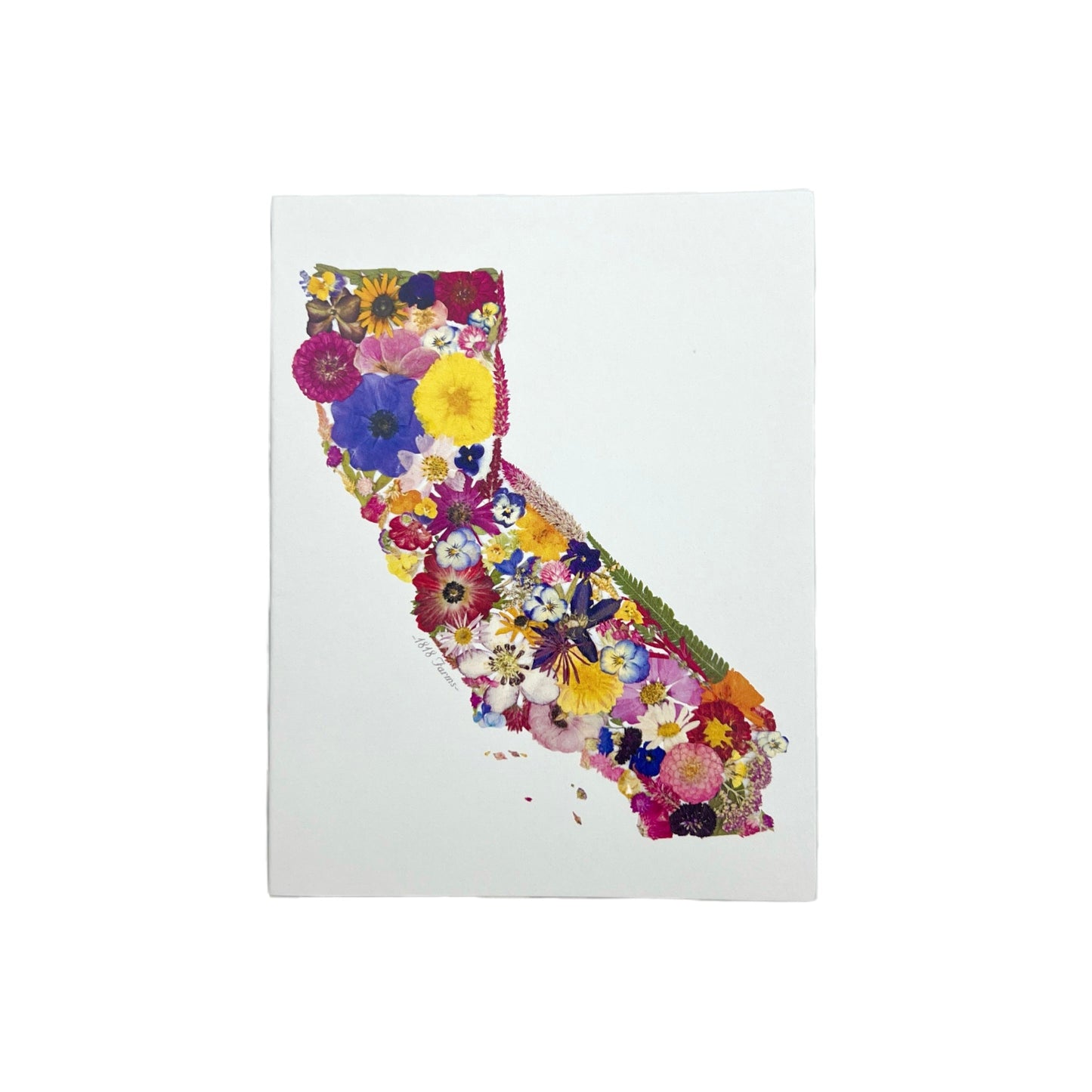 State Themed Notecards (Set of 6) - "Where I Bloom" Collection Notecard 1818 Farms California
