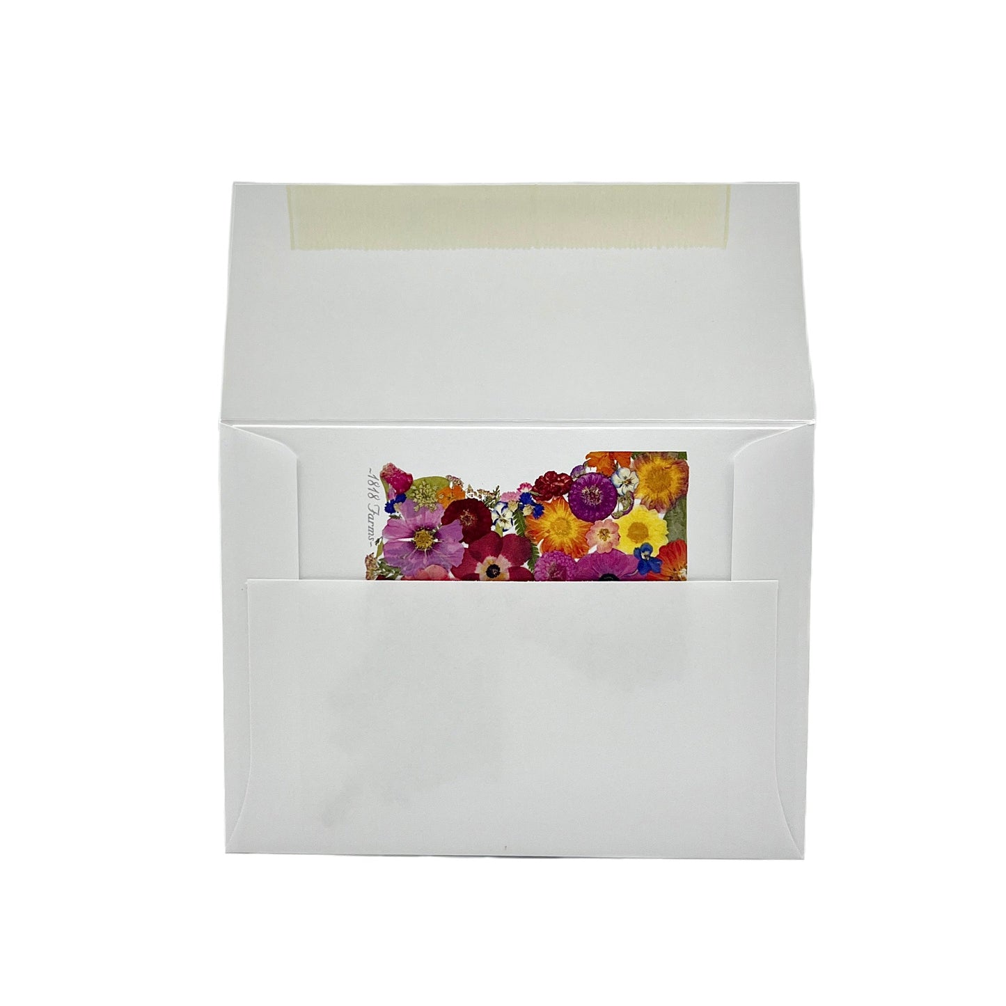 State Themed Notecards (Set of 6) - "Where I Bloom" Collection Notecard 1818 Farms