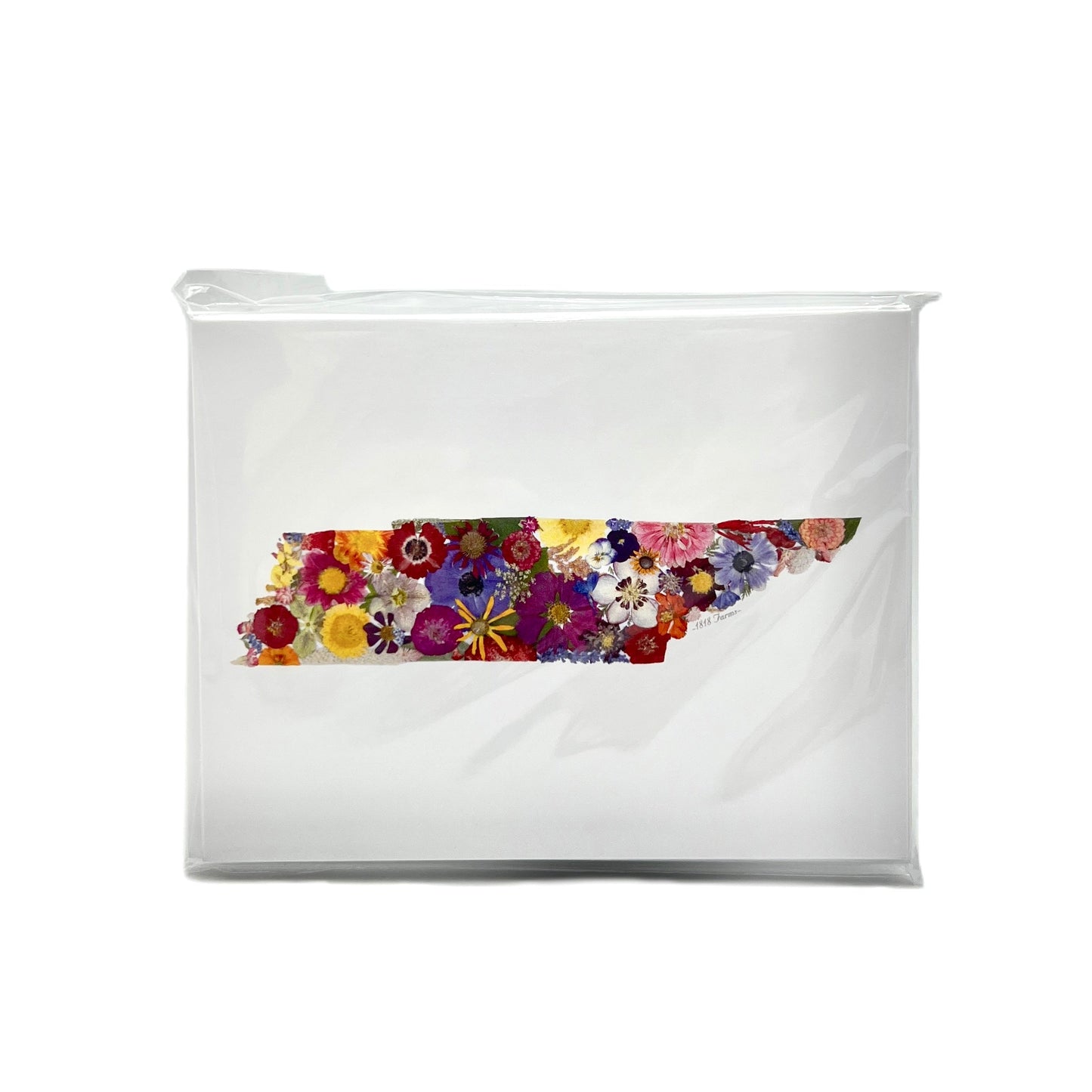 Tennessee Themed Notecards (Set of 6) - "Where I Bloom" Collection Notecard 1818 Farms