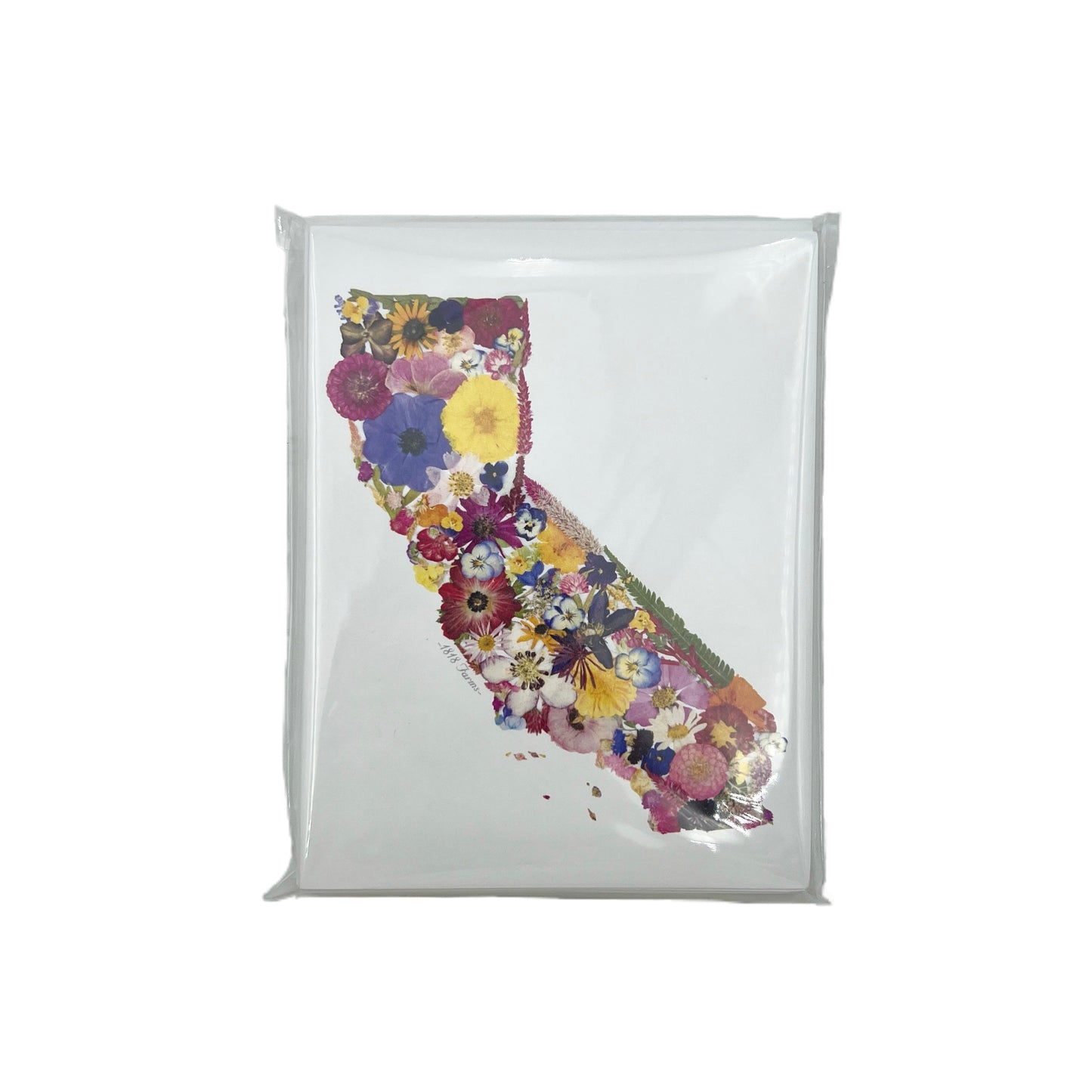 California Themed Notecards (Set of 6) - "Where I Bloom" Collection Notecard 1818 Farms