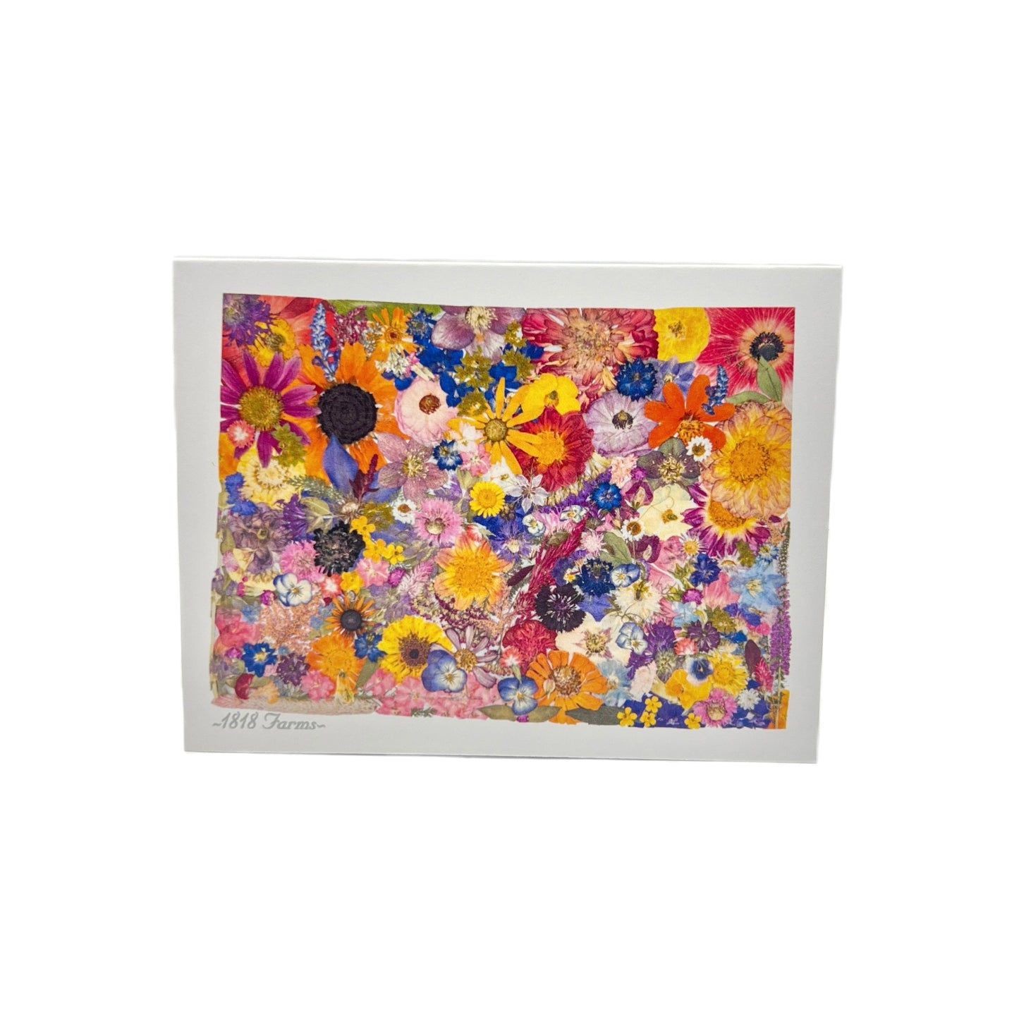State Themed Notecards (Set of 6) - "Where I Bloom" Collection Notecard 1818 Farms Colorado