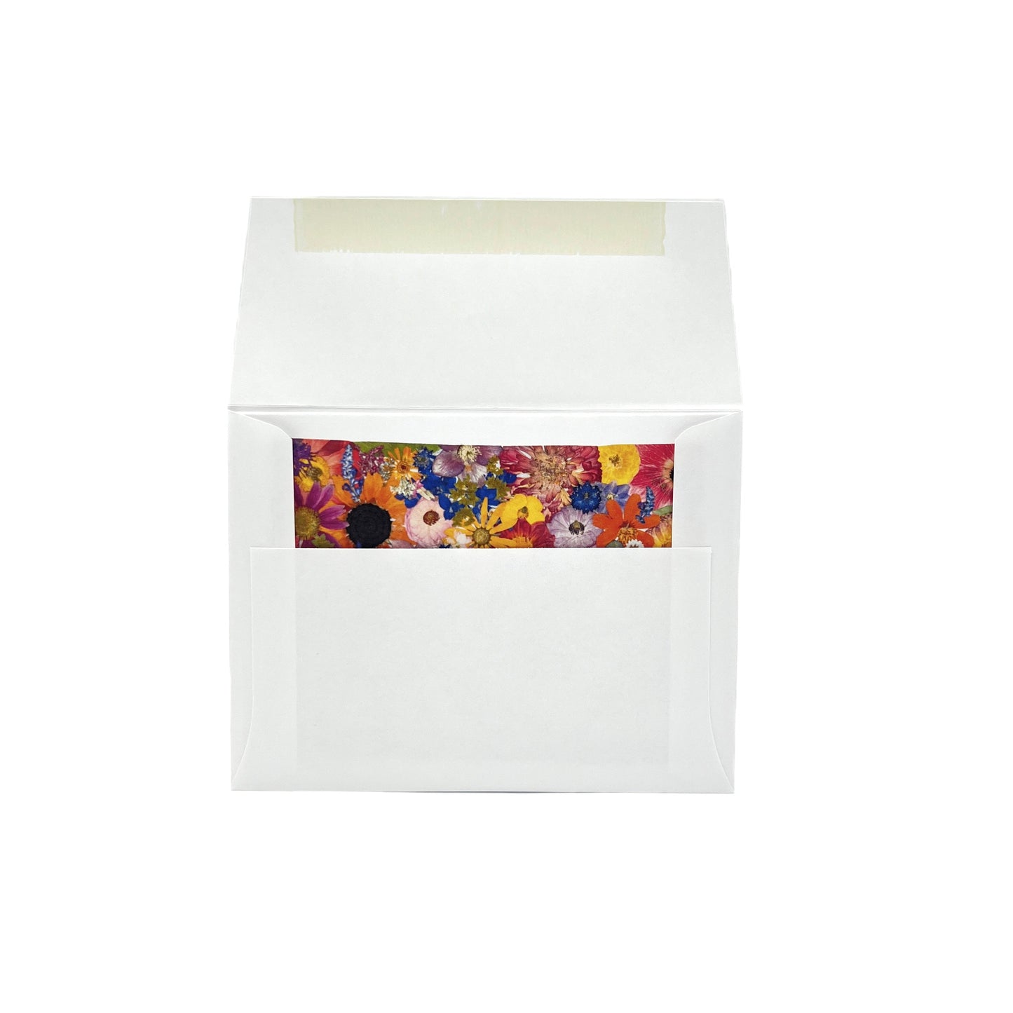 Colorado Themed Notecards (Set of 6) - "Where I Bloom" Collection Notecard 1818 Farms