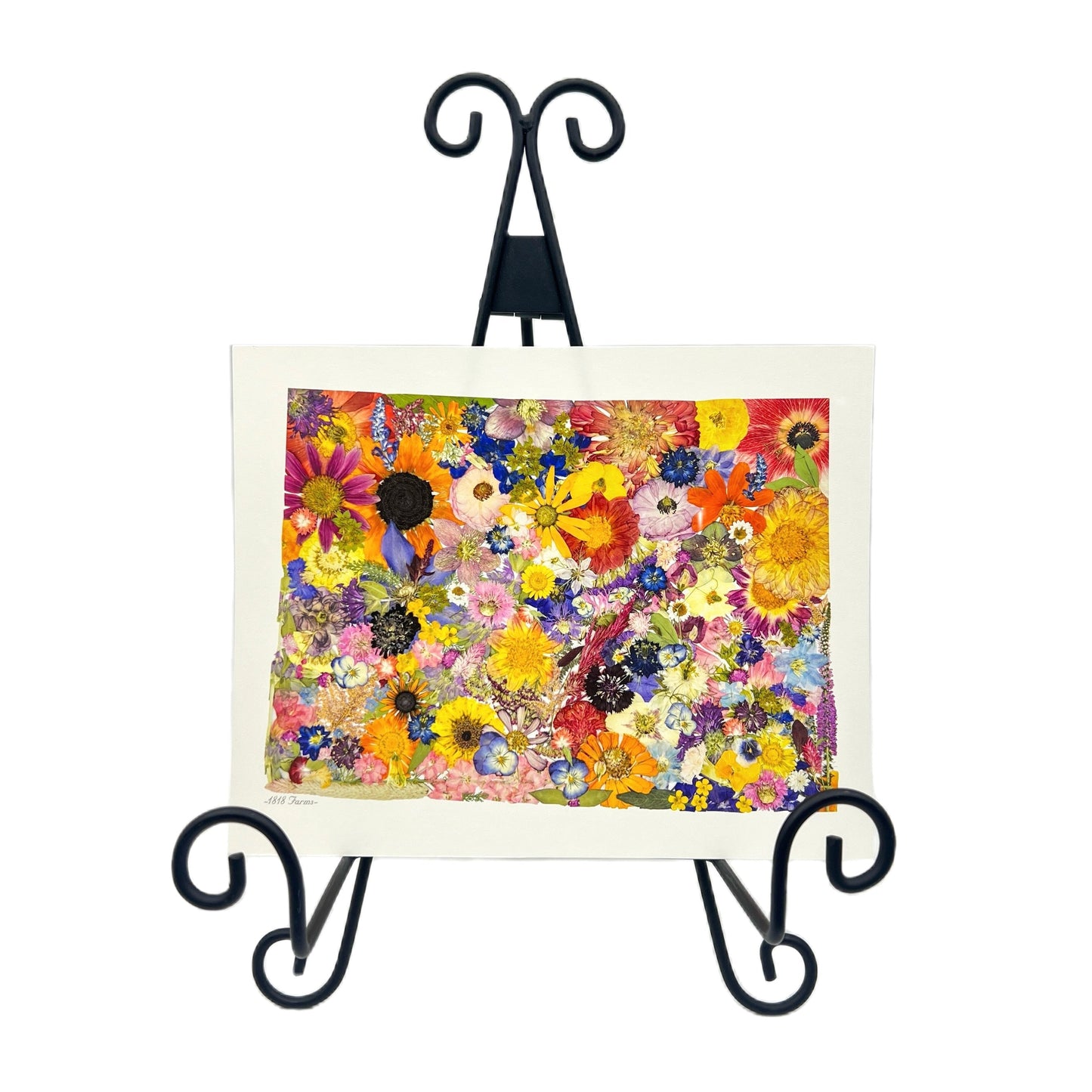 Colorado Themed Giclée Print - "Where I Bloom" Collection Giclee Art Print 1818 Farms
