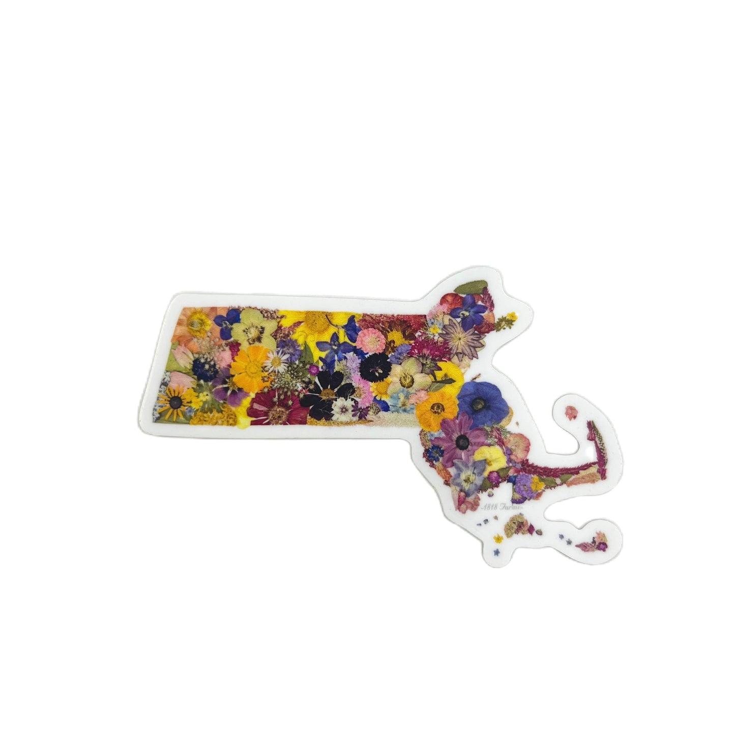 Massachusetts Themed Vinyl Sticker - "Where I Bloom" Collection Vinyl Sticker 1818 Farms