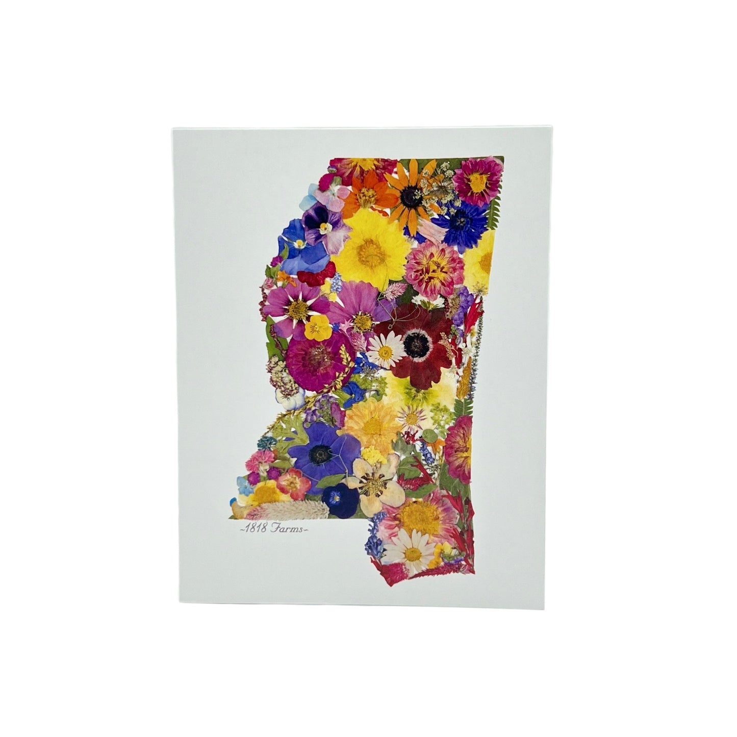 State Themed Notecards (Set of 6) - "Where I Bloom" Collection Notecard 1818 Farms Mississippi