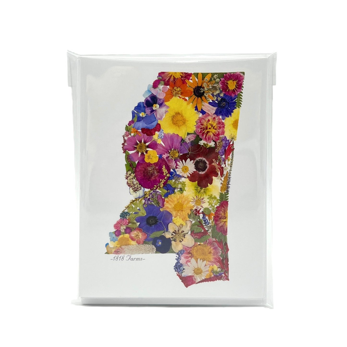 Mississippi Themed Notecards (Set of 6) - "Where I Bloom" Collection Notecard 1818 Farms
