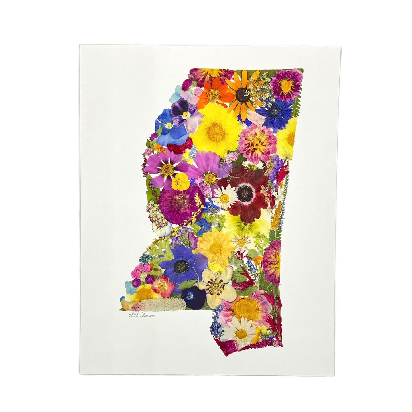 State Themed Giclée Print 11" x "14 - "Where I Bloom" Collection Giclee Art Print 1818 Farms Mississippi