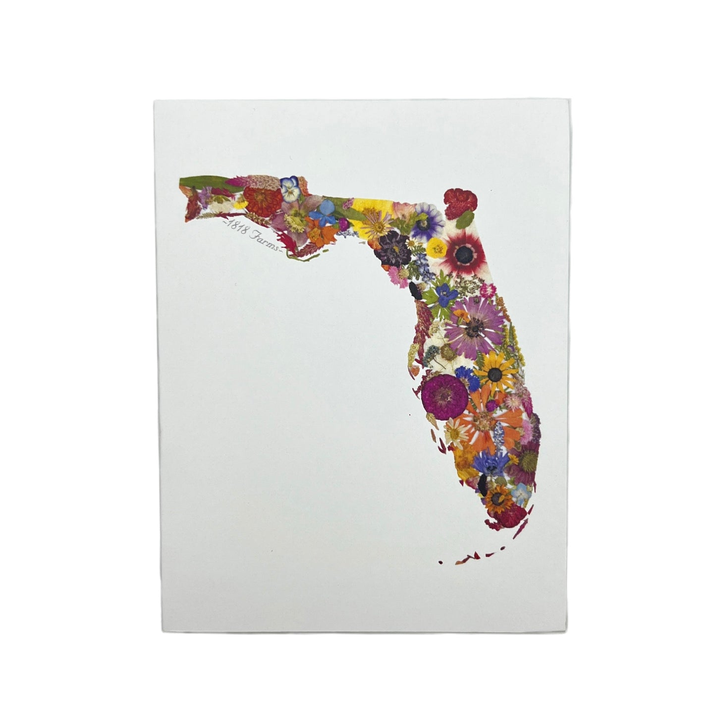 State Themed Notecards (Set of 6) - "Where I Bloom" Collection Notecard 1818 Farms Florida