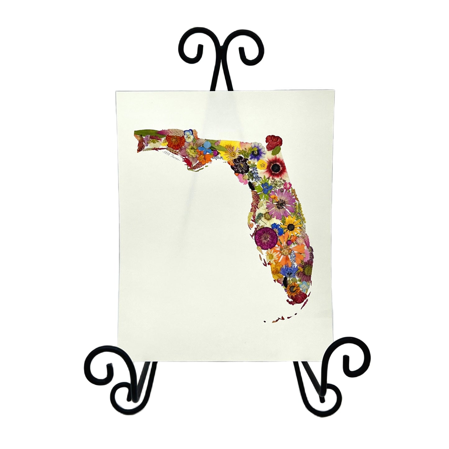 Florida Themed Giclée Print - "Where I Bloom" Collection Giclee Art Print 1818 Farms