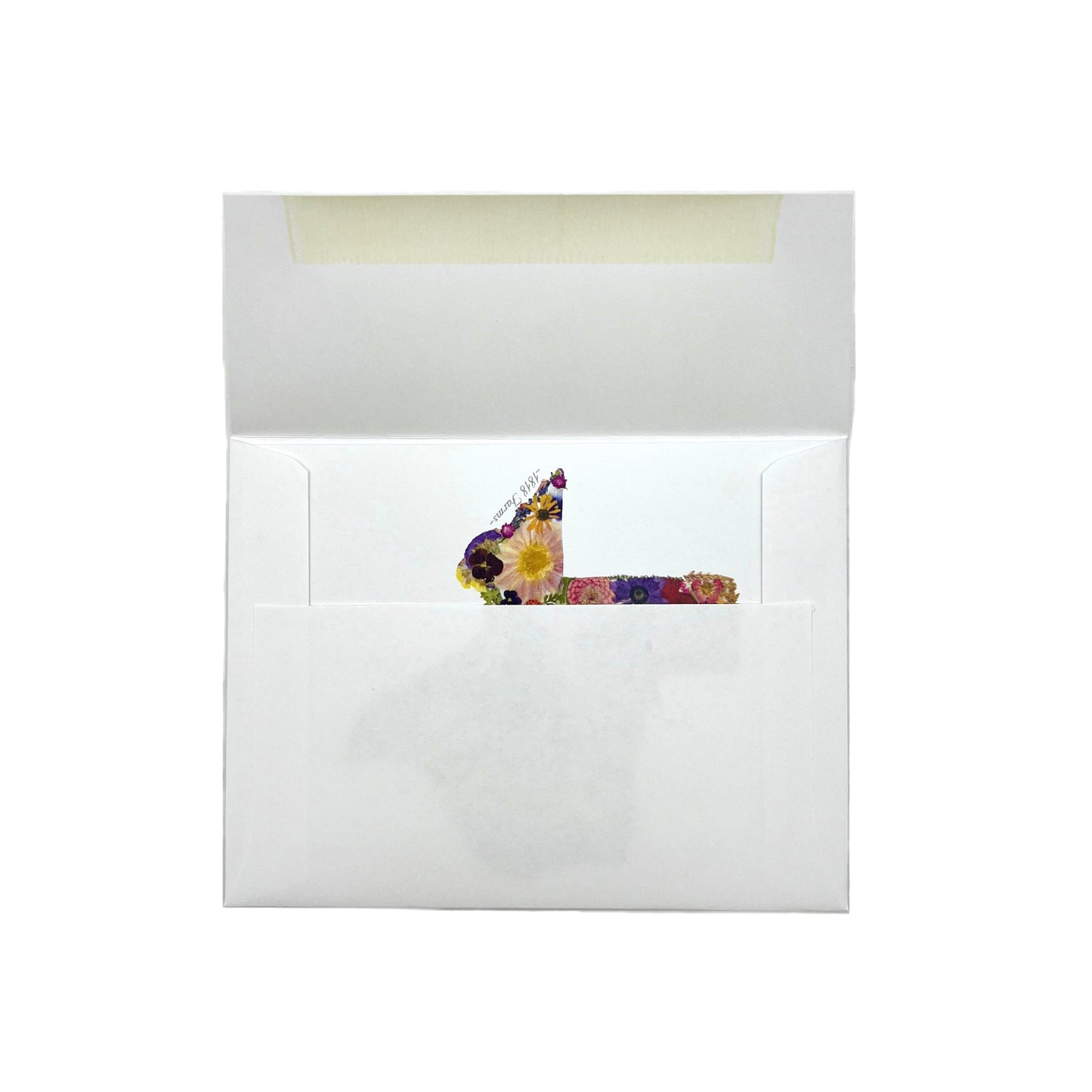 Texas Themed Notecards (Set of 6) - "Where I Bloom" Collection Notecard 1818 Farms