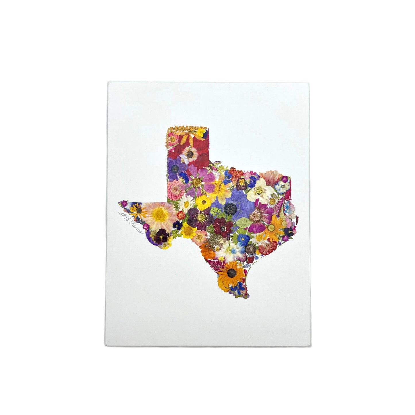 Texas Themed Notecards (Set of 6) - "Where I Bloom" Collection Notecard 1818 Farms