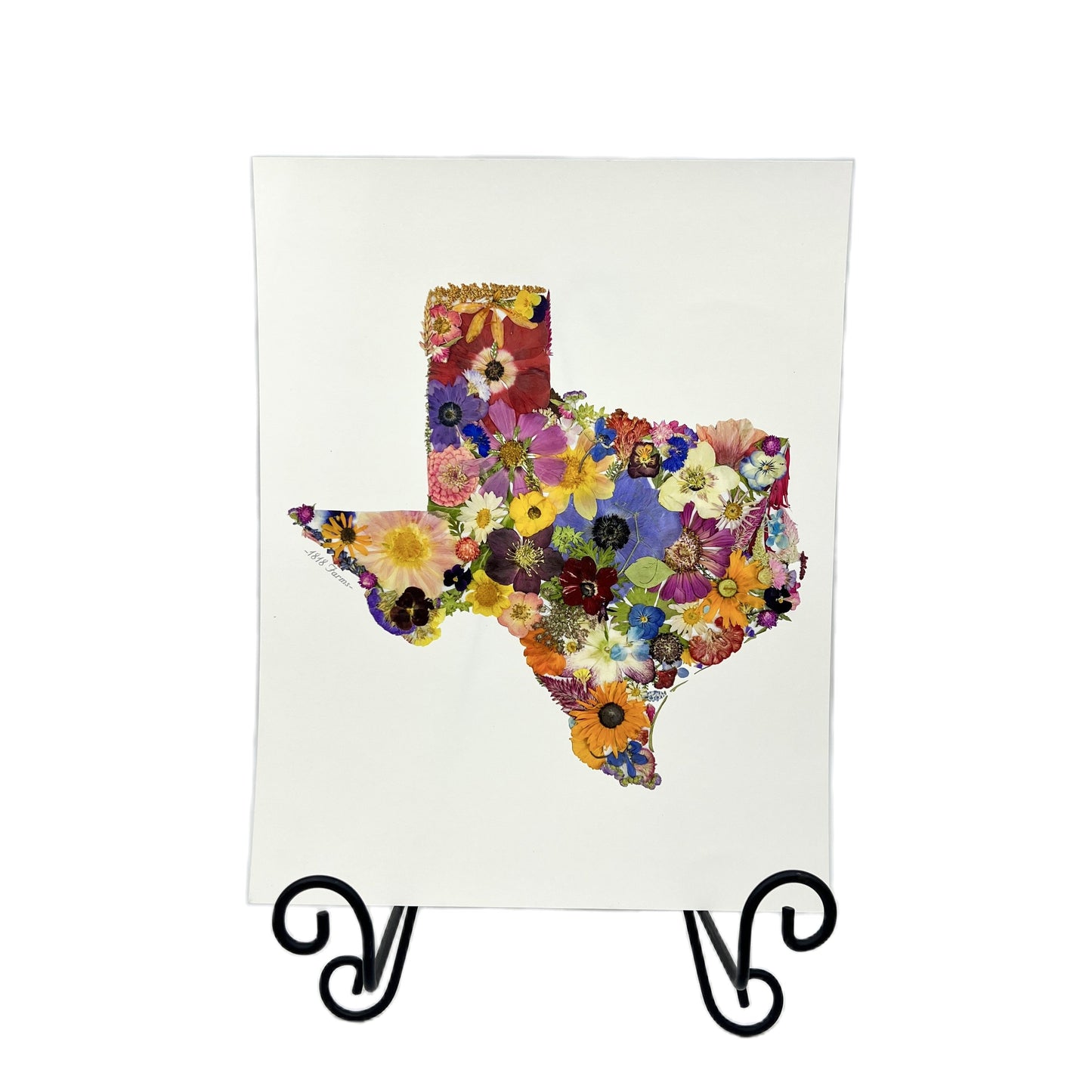Texas Themed Giclée Print - "Where I Bloom" Collection Giclee Art Print 1818 Farms