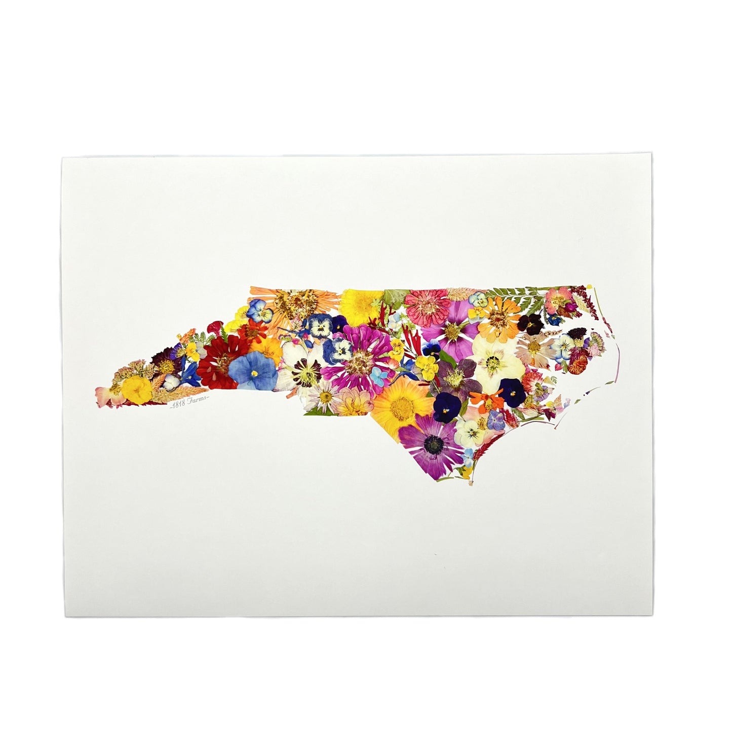 State Themed Giclée Print 11" x "14 - "Where I Bloom" Collection Giclee Art Print 1818 Farms North Carolina