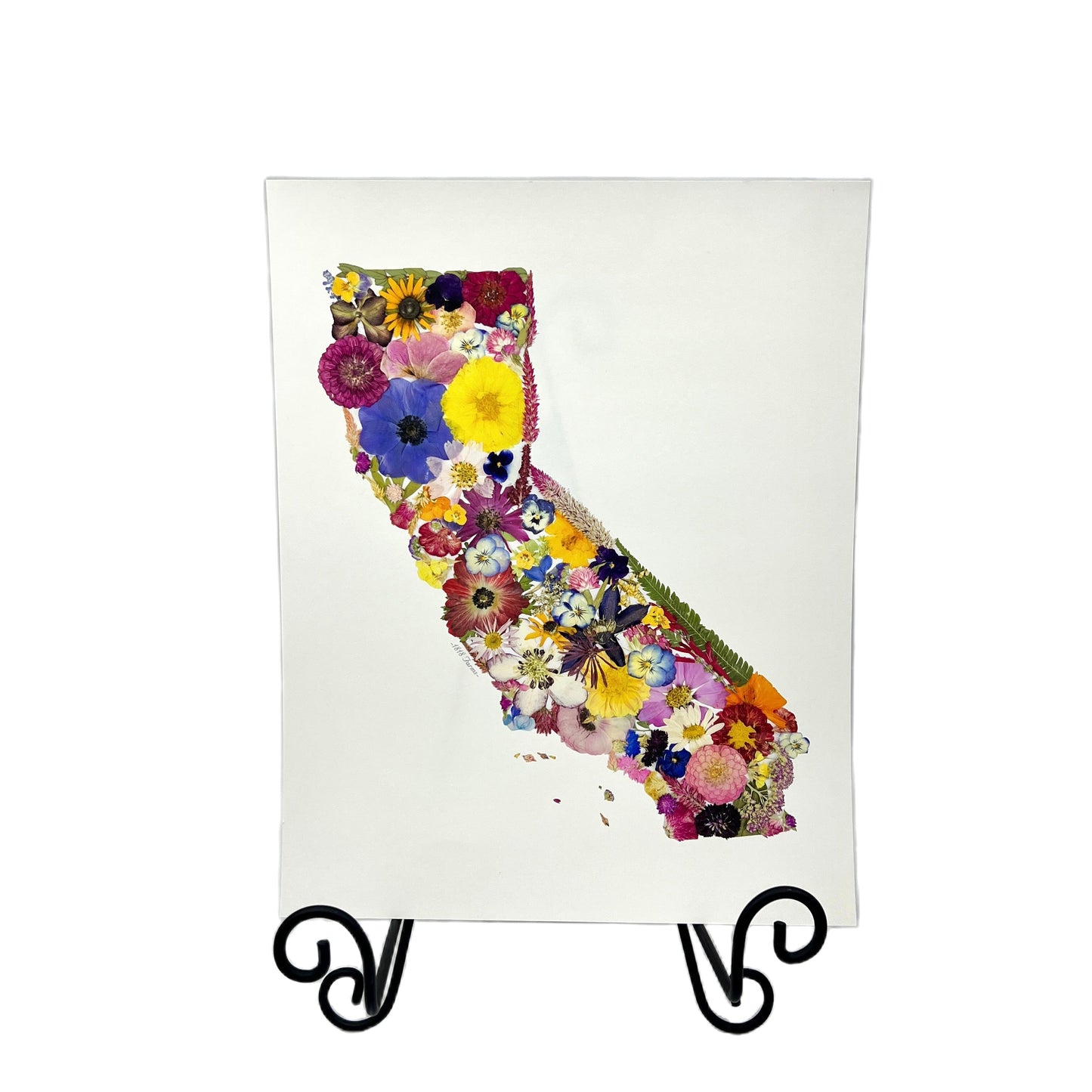 California Themed Giclée Print - "Where I Bloom" Collection Giclee Art Print 1818 Farms