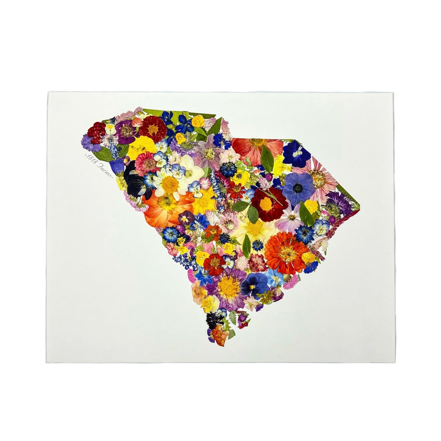 State Themed Giclée Print 11" x "14 - "Where I Bloom" Collection Giclee Art Print 1818 Farms South Carolina