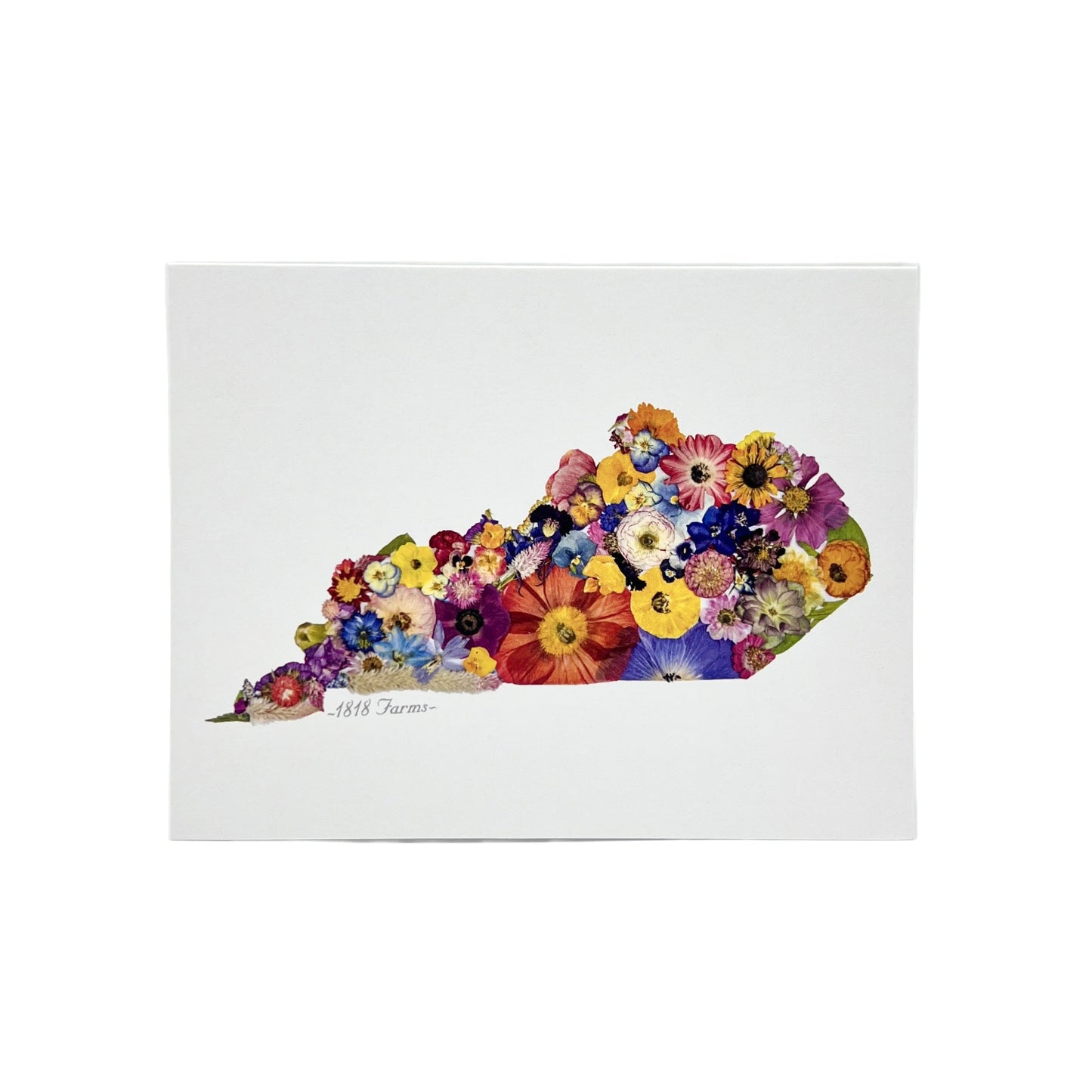 State Themed Notecards (Set of 6) - "Where I Bloom" Collection Notecard 1818 Farms Kentucky