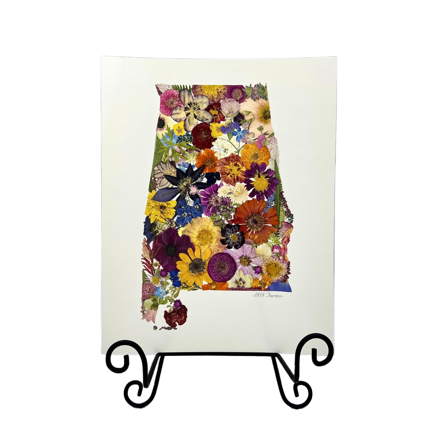 State Themed Giclée Print 11" x "14 - "Where I Bloom" Collection Giclee Art Print 1818 Farms