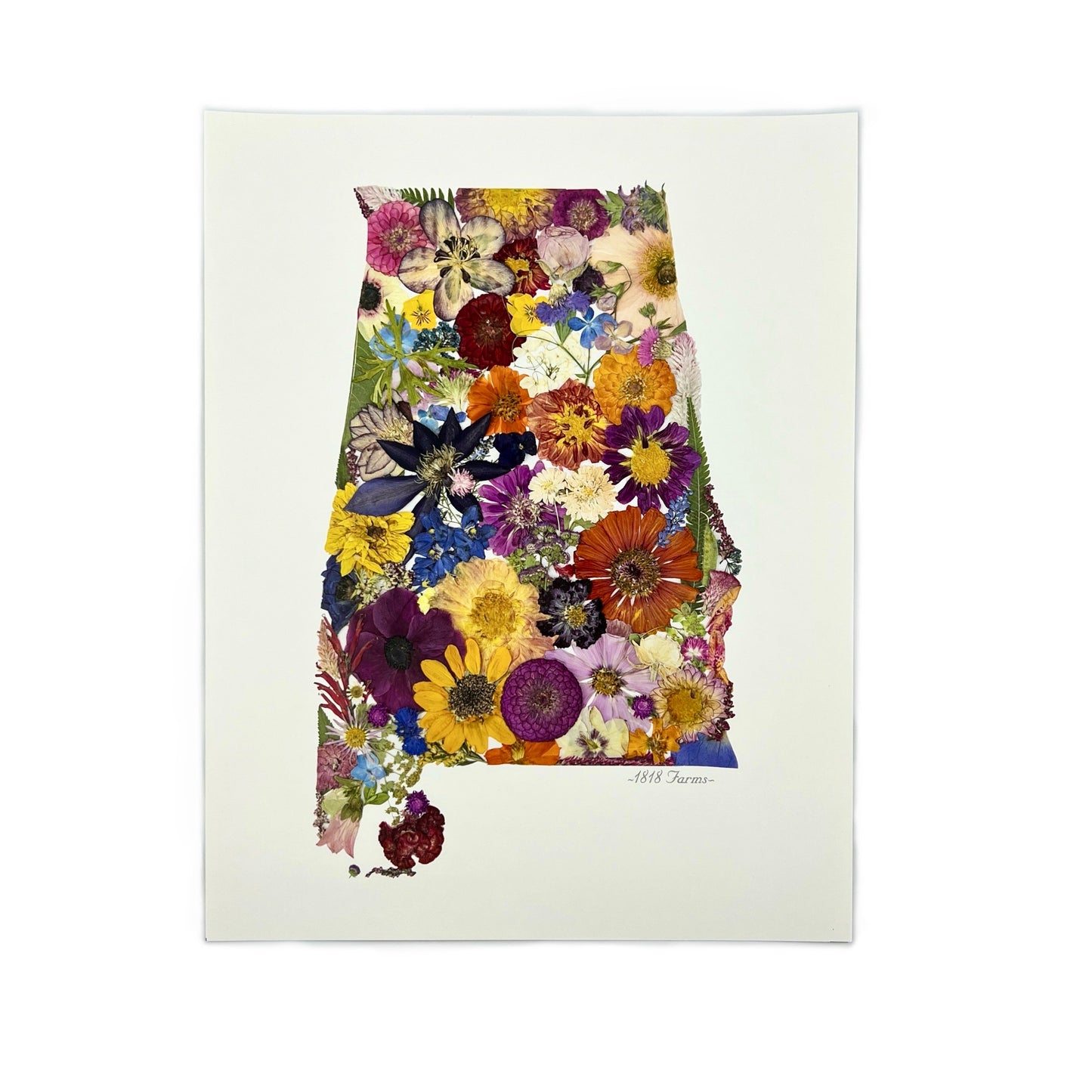 State Themed Giclée Print 11" x "14 - "Where I Bloom" Collection Giclee Art Print 1818 Farms Alabama