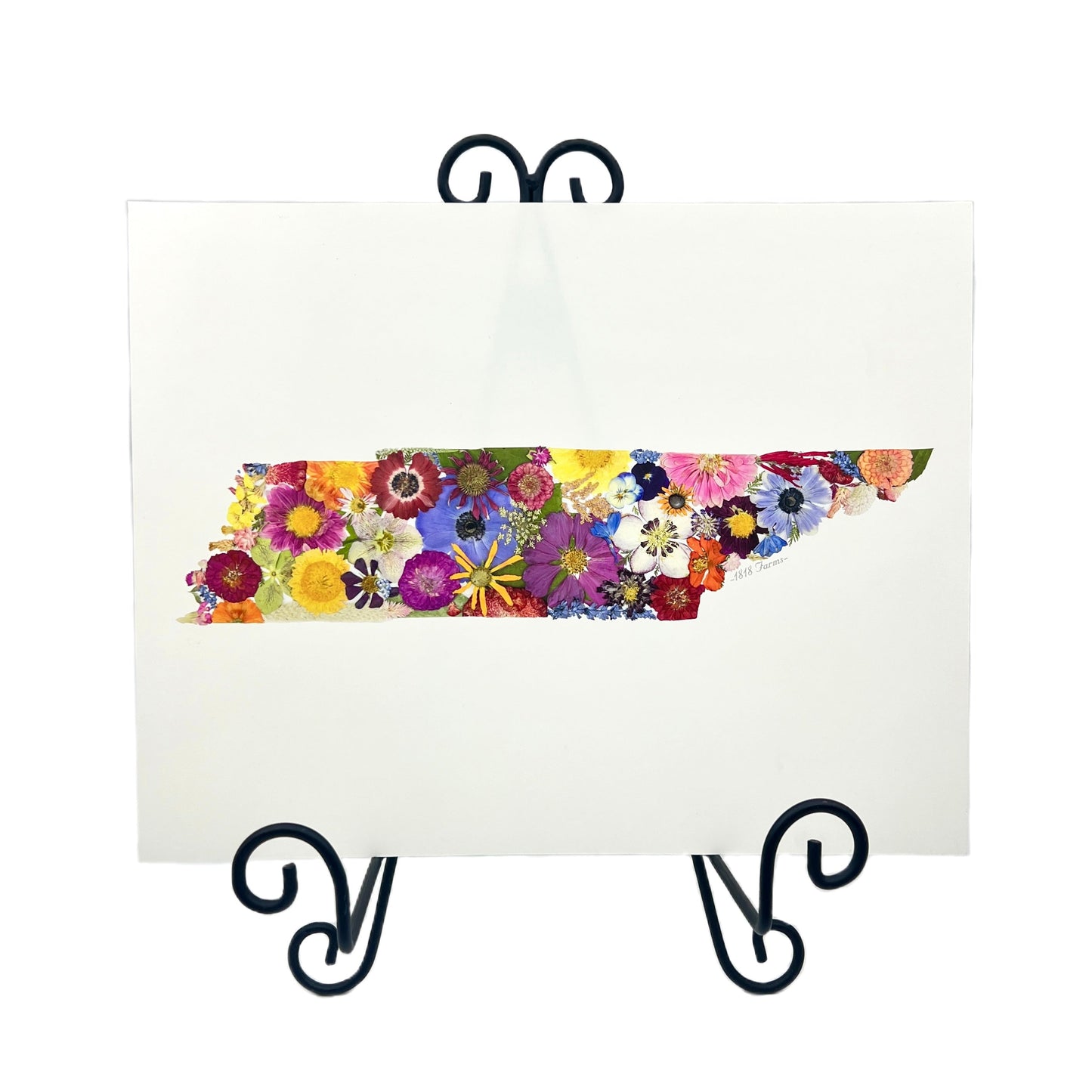 Tennessee Themed Giclée Print - "Where I Bloom" Collection Giclee Art Print 1818 Farms