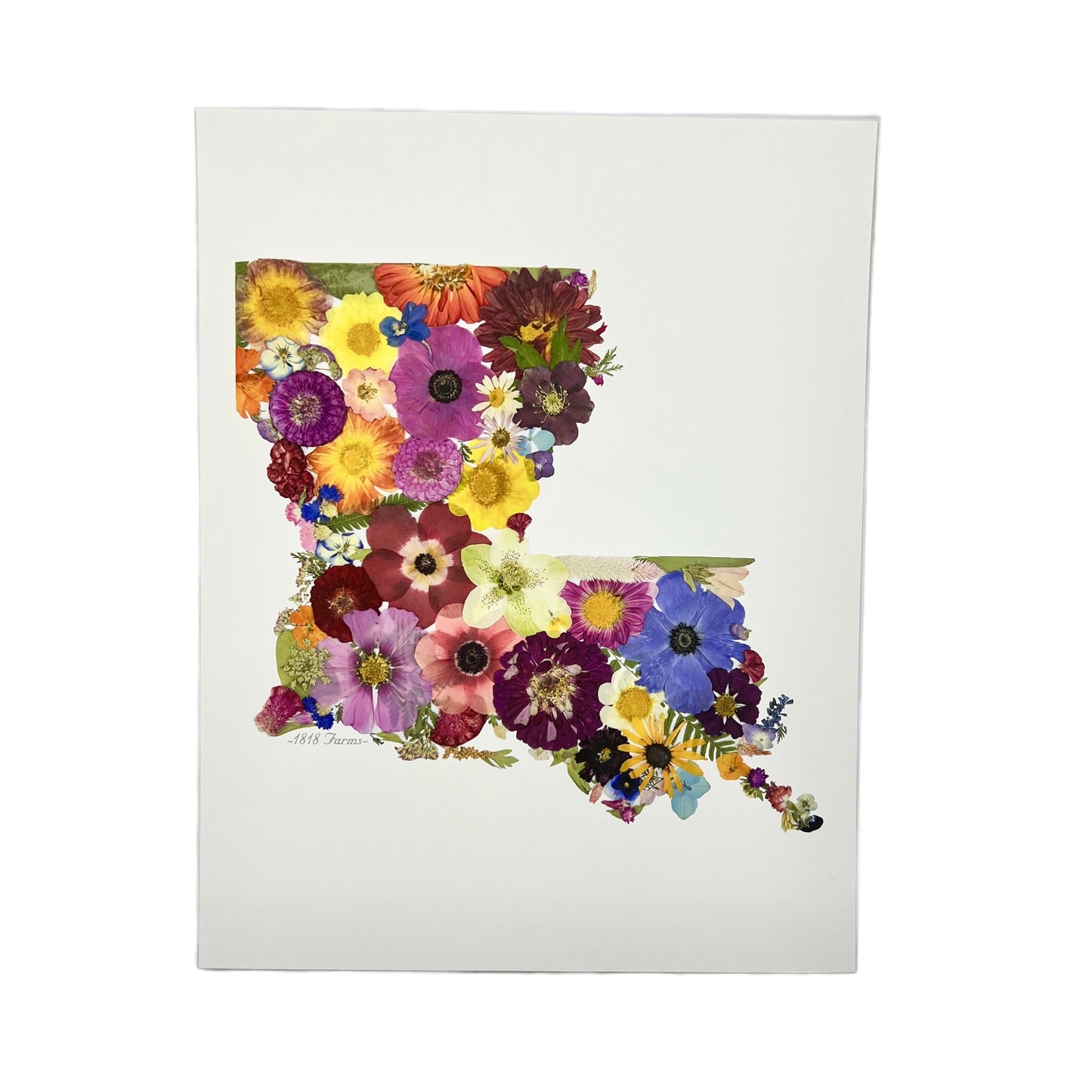 State Themed Giclée Print 11" x "14 - "Where I Bloom" Collection Giclee Art Print 1818 Farms Louisiana