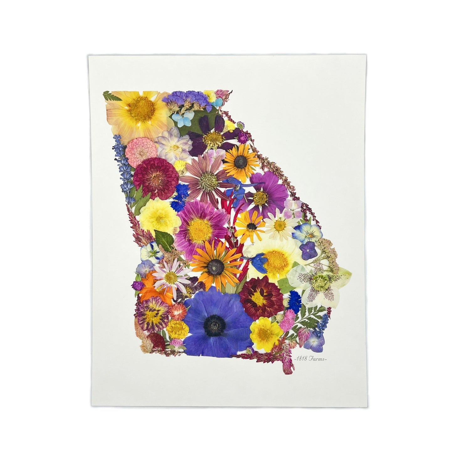 State Themed Giclée Print 11" x "14 - "Where I Bloom" Collection Giclee Art Print 1818 Farms Georgia
